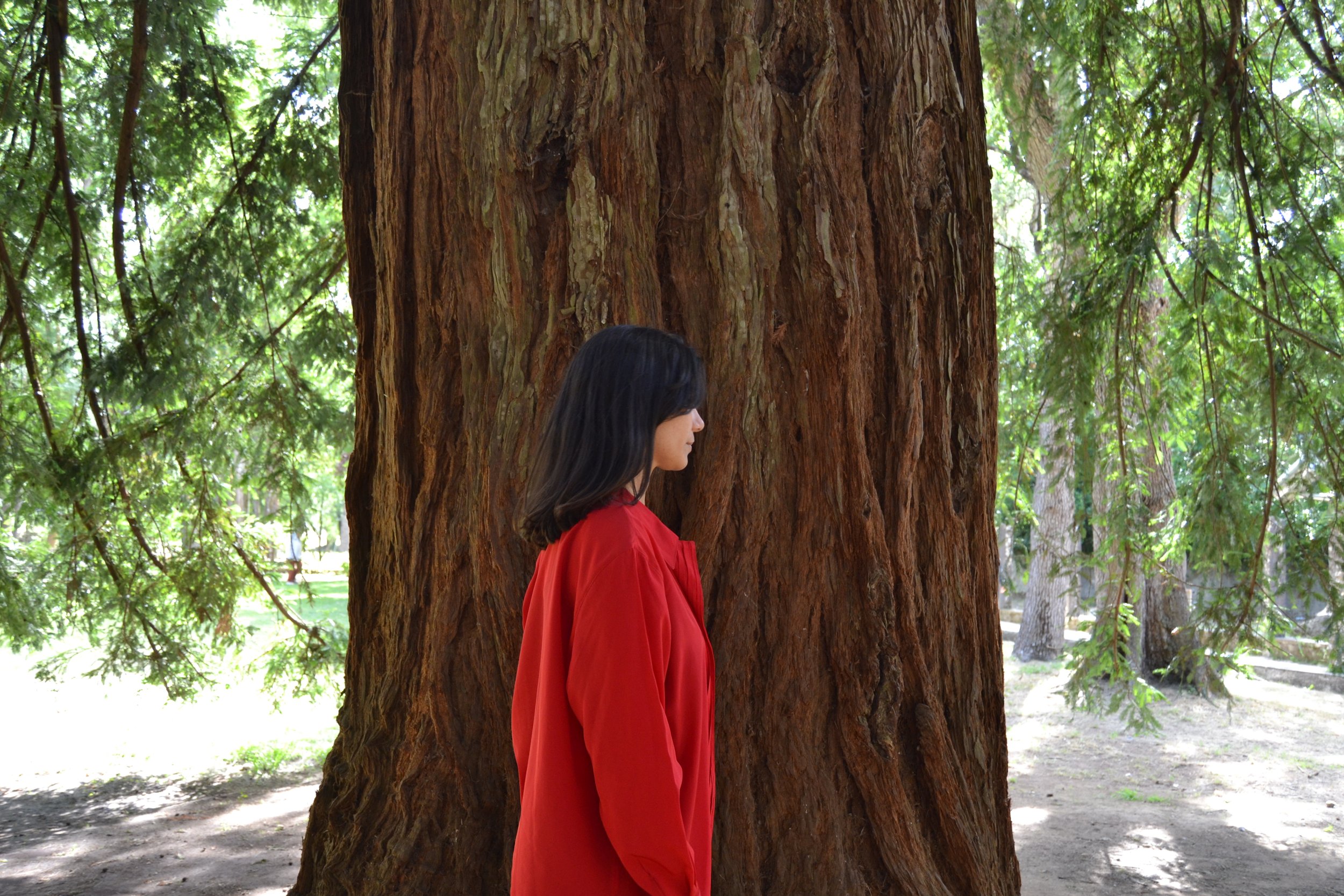 Gaspar_Susana C. - Among the Trees site-specific theater 2.JPG