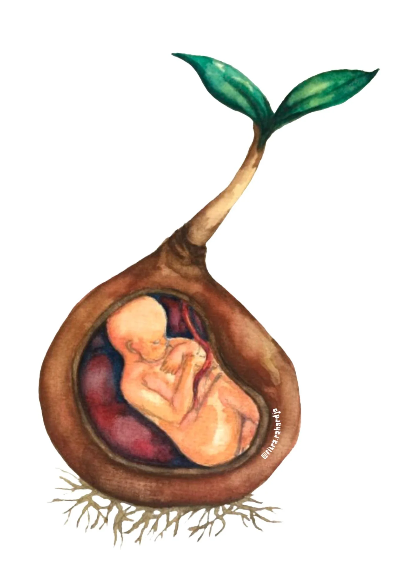 "The Earth as a Womb"
Fitra Raharjo
Indonesia