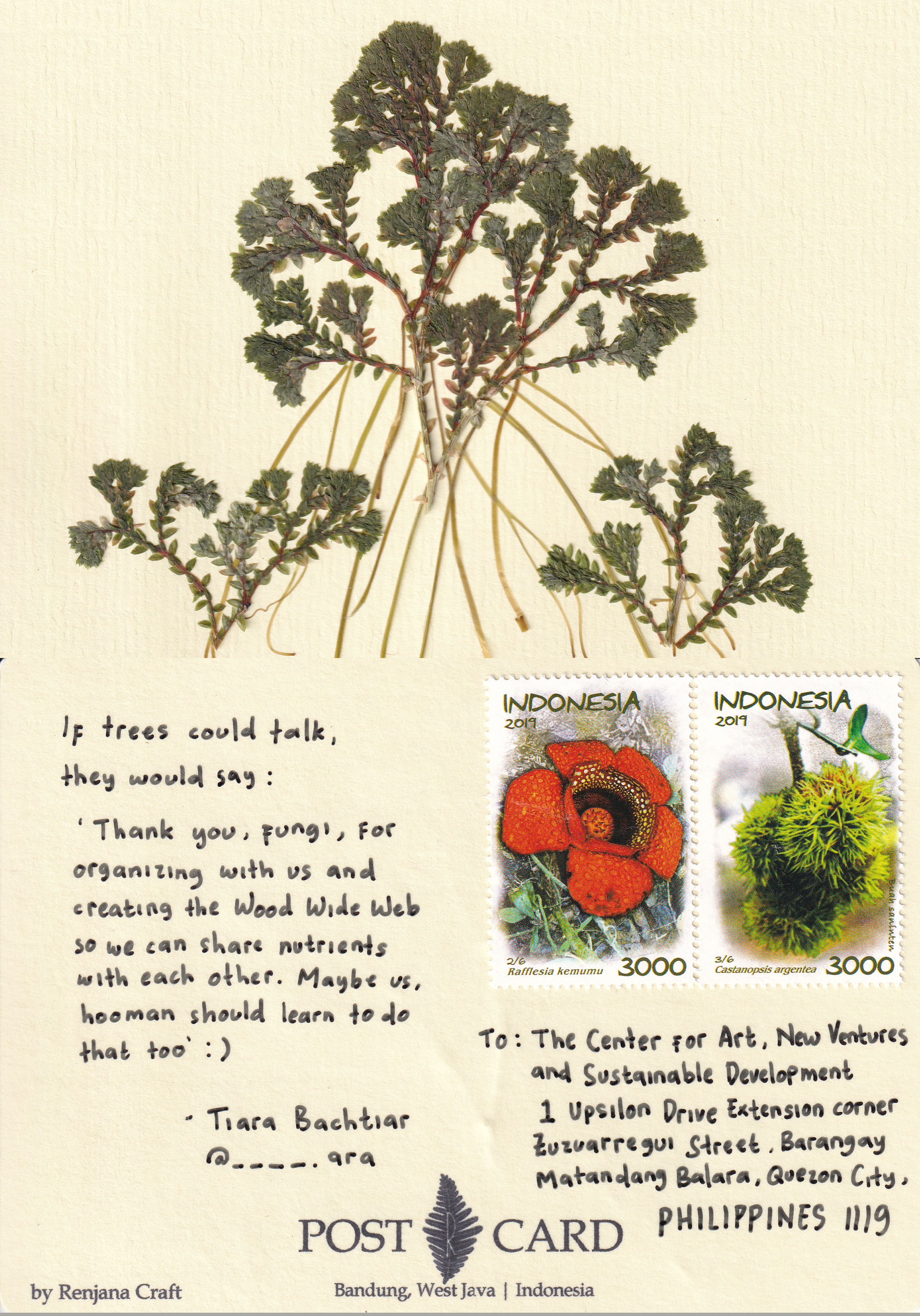 "Wood Wide Web"
Tiara Bachtiar (@____.ara)
Indonesia