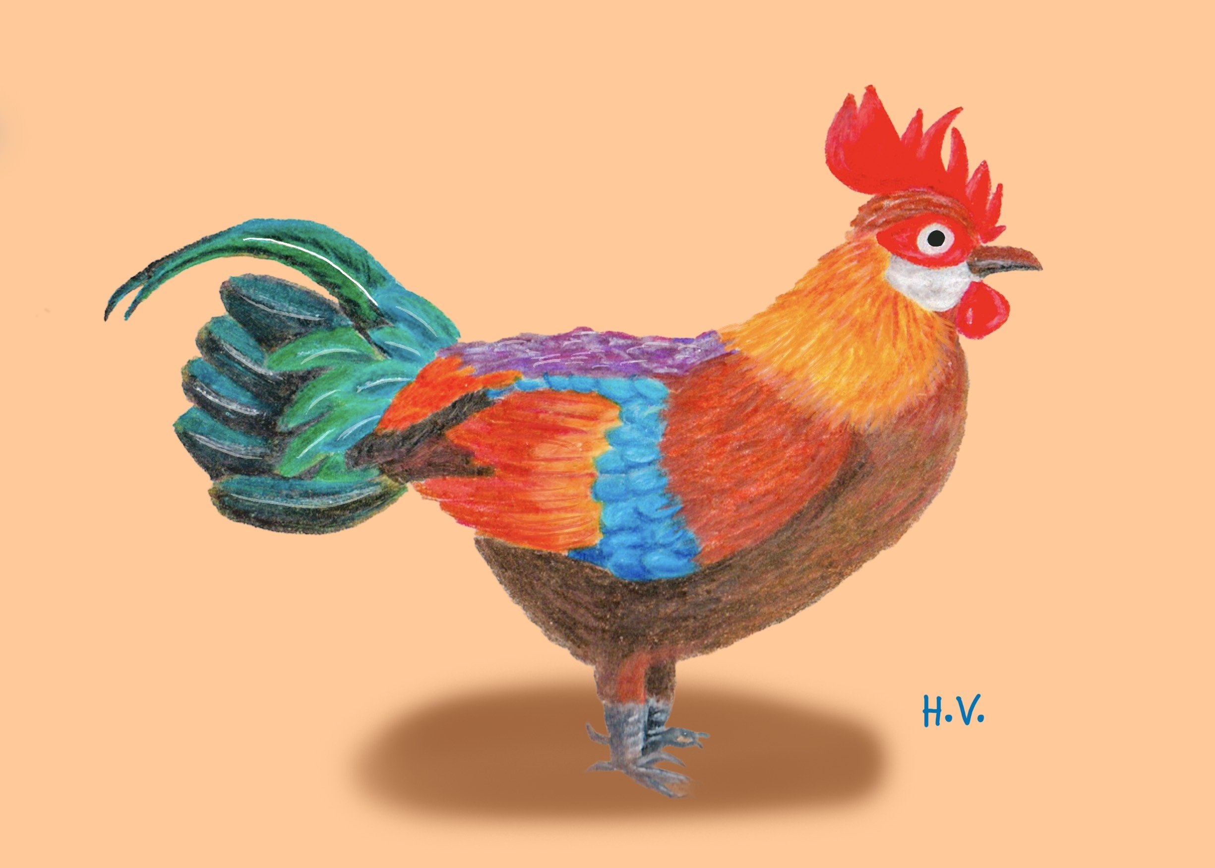 "Gallus Gallus"
Helen Vincent (@red.balloon.studio)
From Indonesia, now based in New Zealand