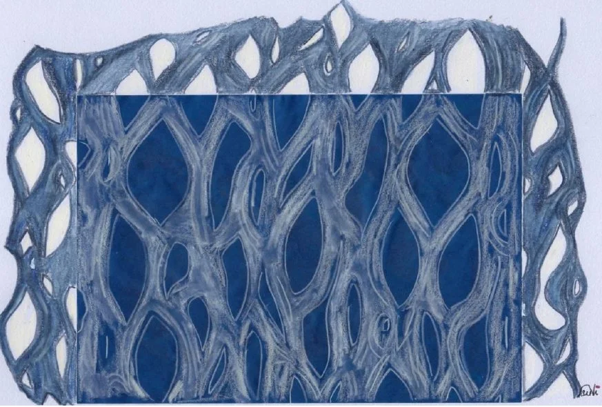 Susanne Nitschky
Germany