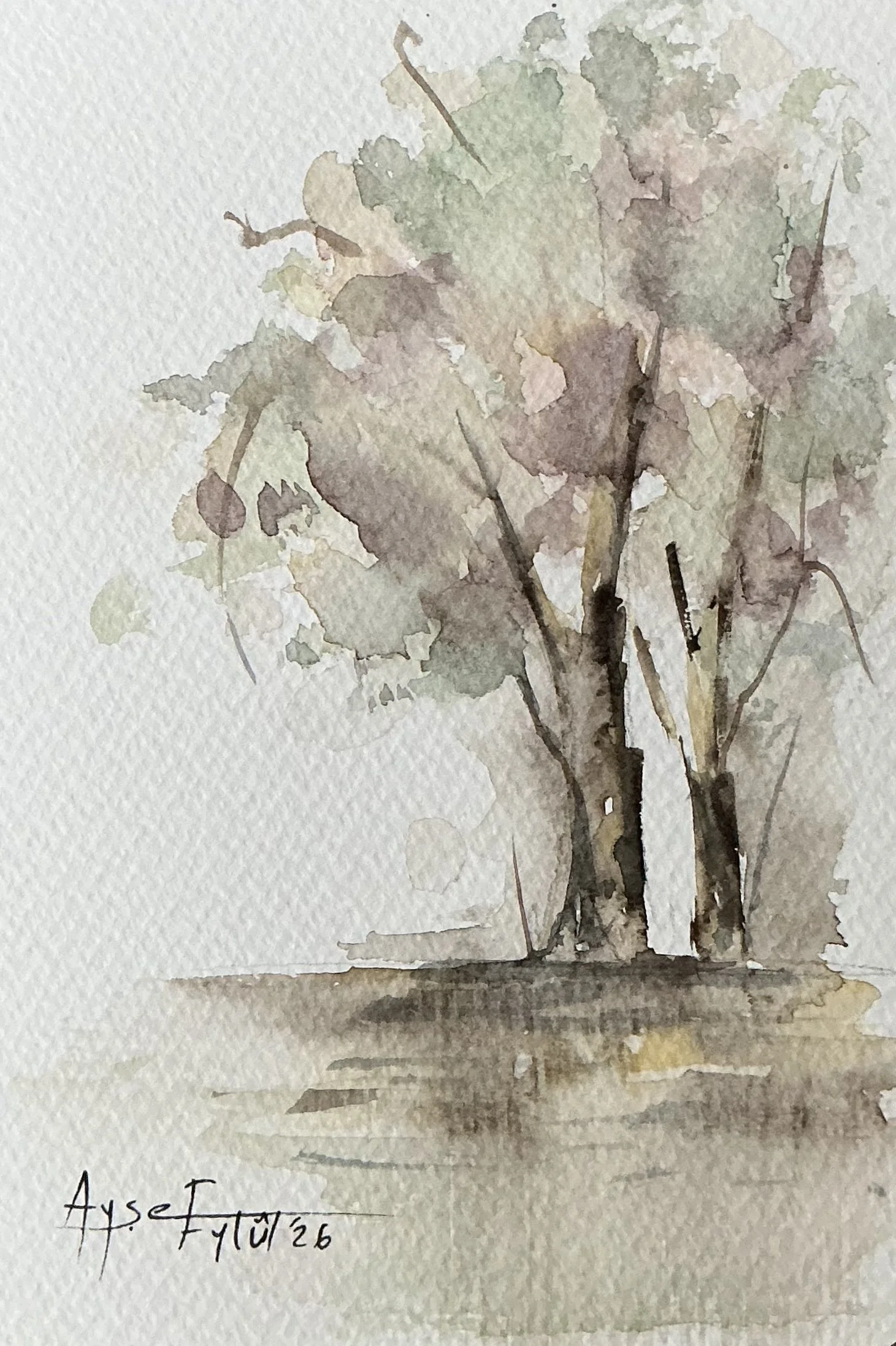 Ayşe Eylül Sönmez
Turkey