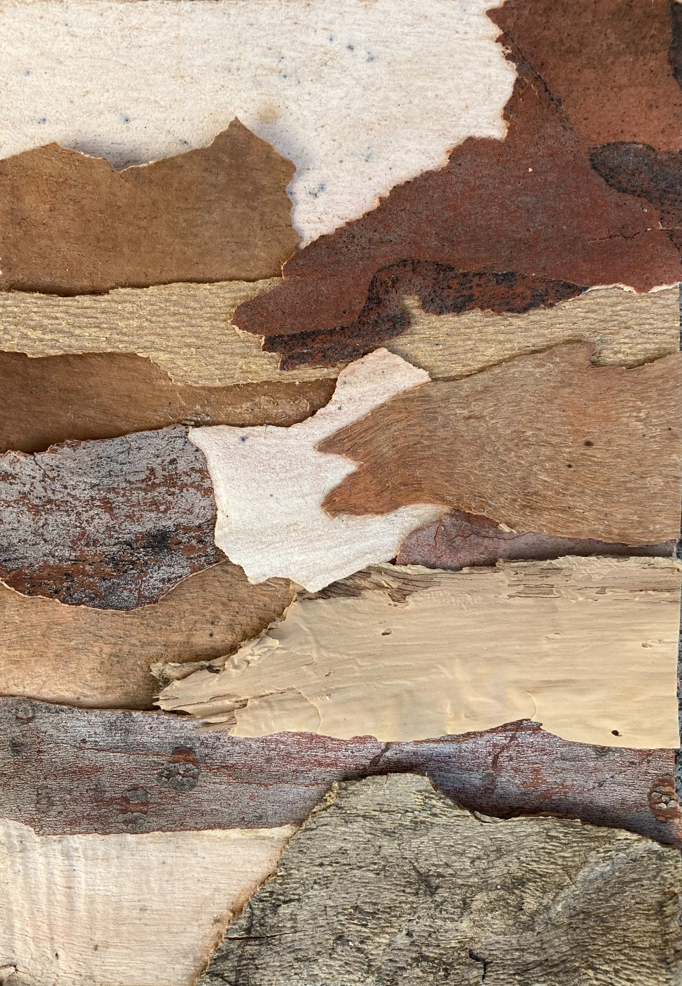 Nancy D. Lane (@nancydeesculptures)
Australia