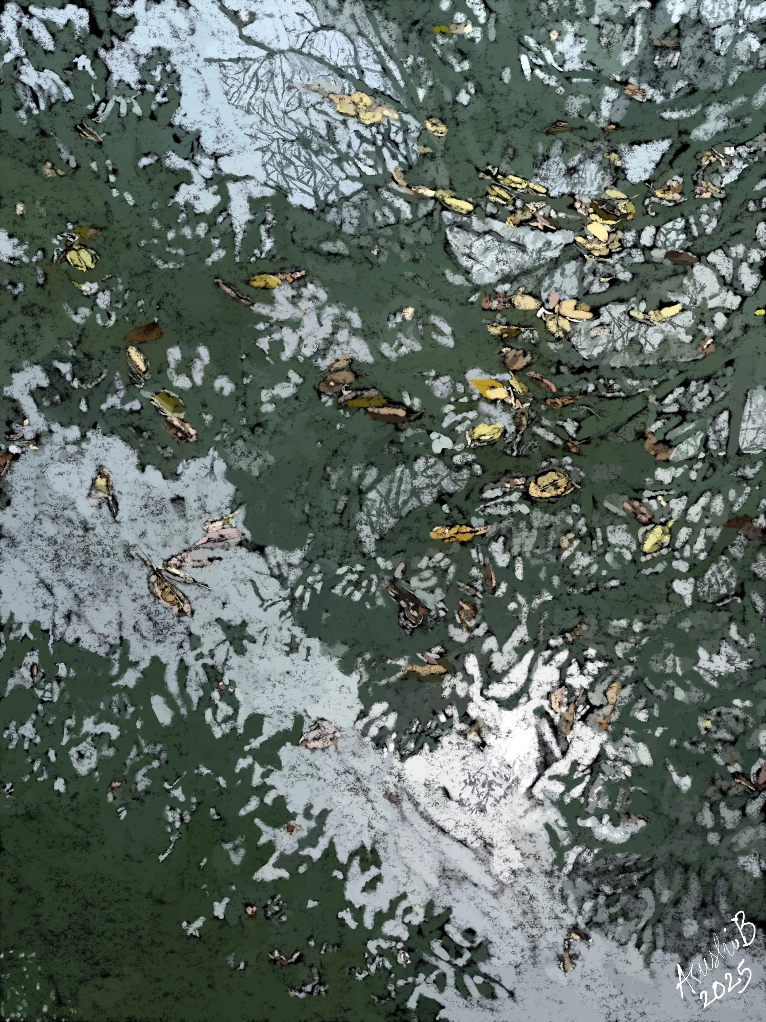 Arushi Bhargava
India