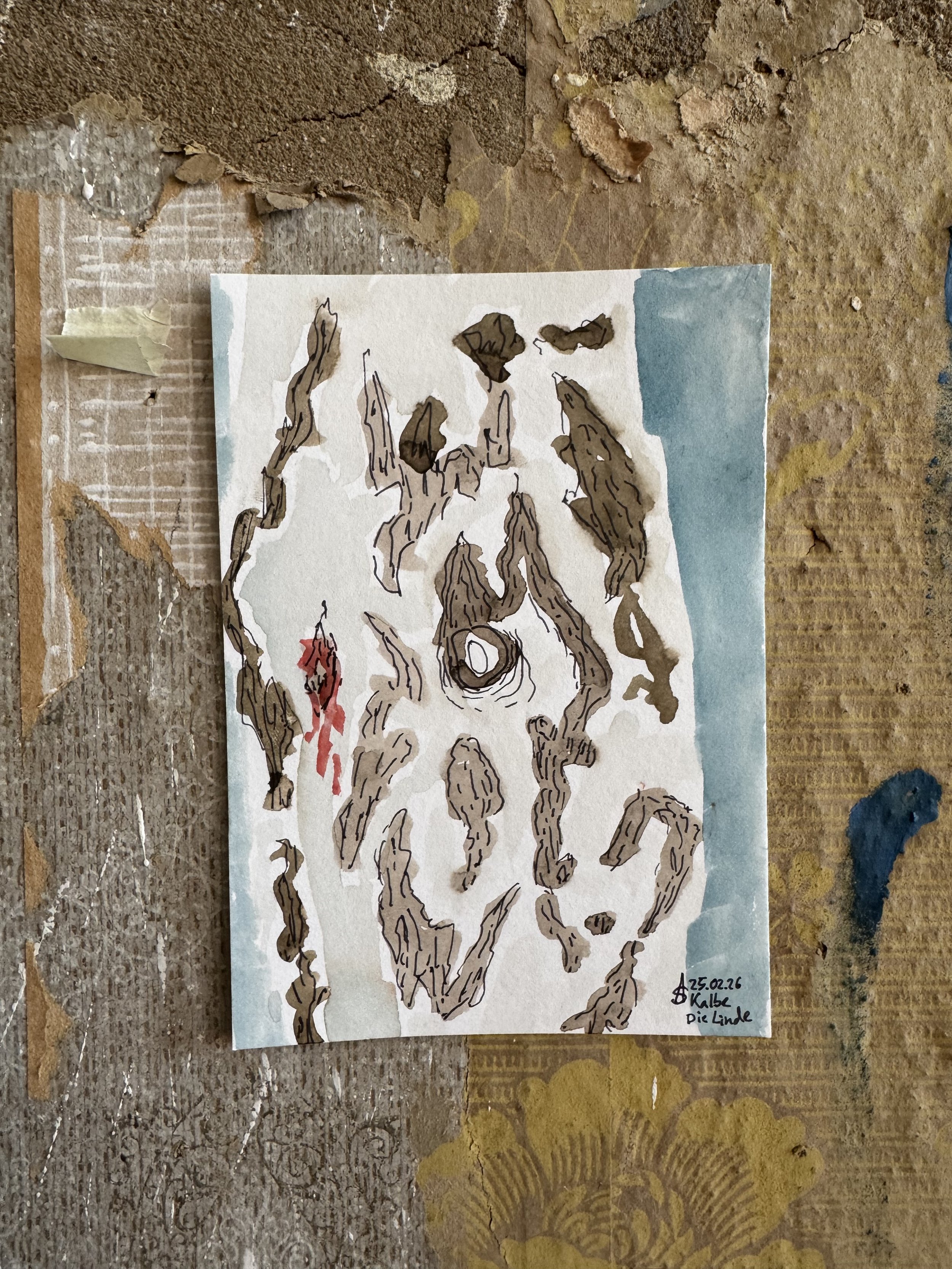 Anna Stitz  (@anna.stitz)