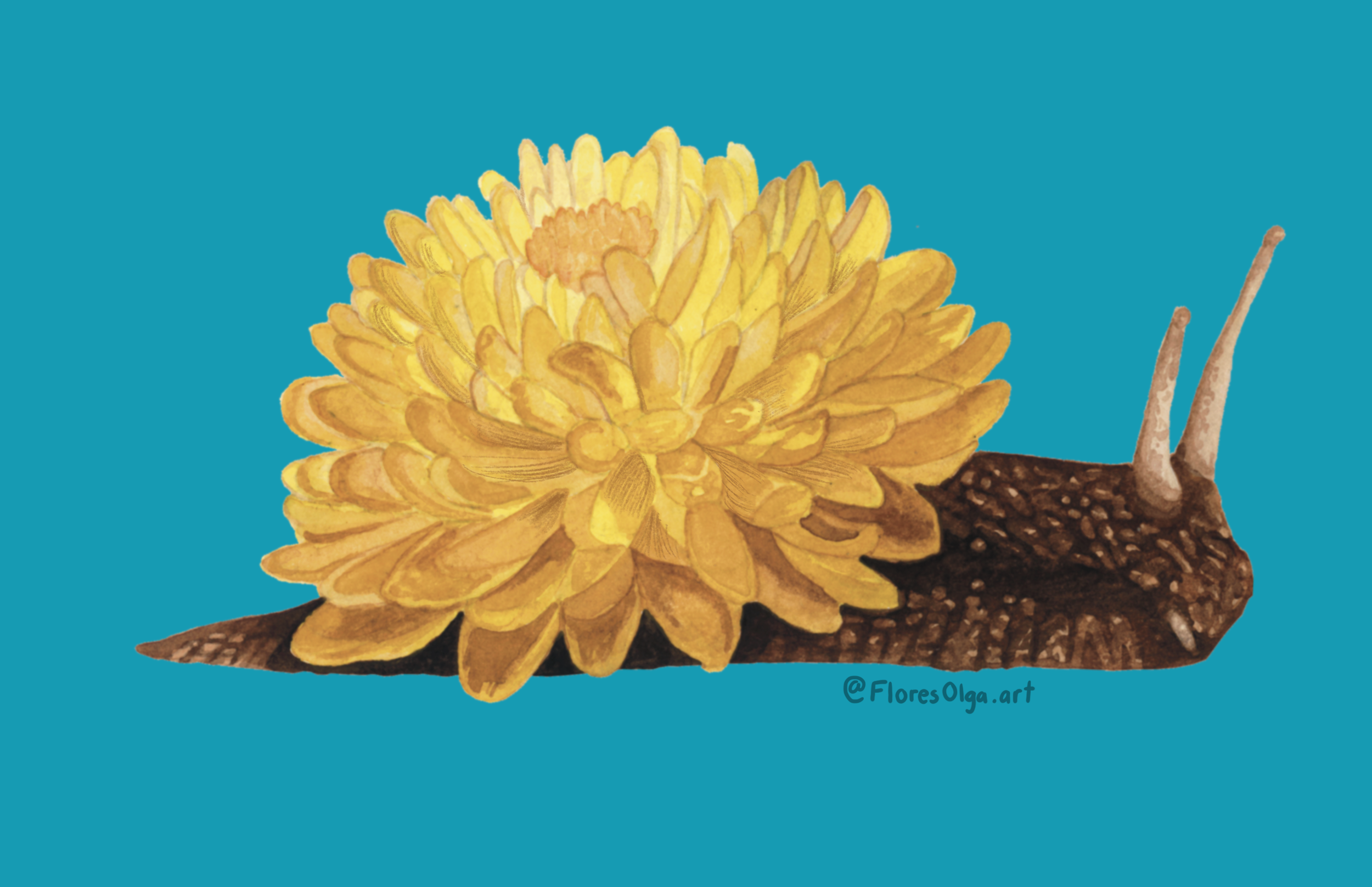 "flowered snail"
Flores Olga (@floresolga.art )
Mexico