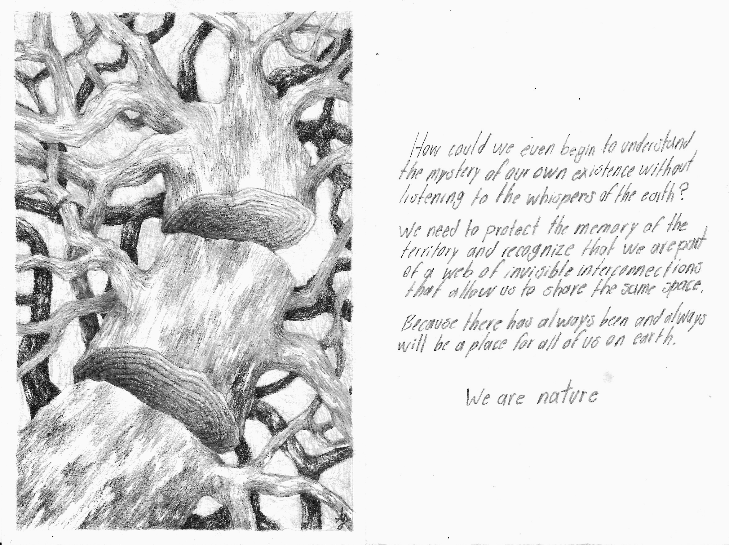 Invisible Interconnections
Astrid Fernanda Hernández Rodríguez (@astree.art)
Mexico