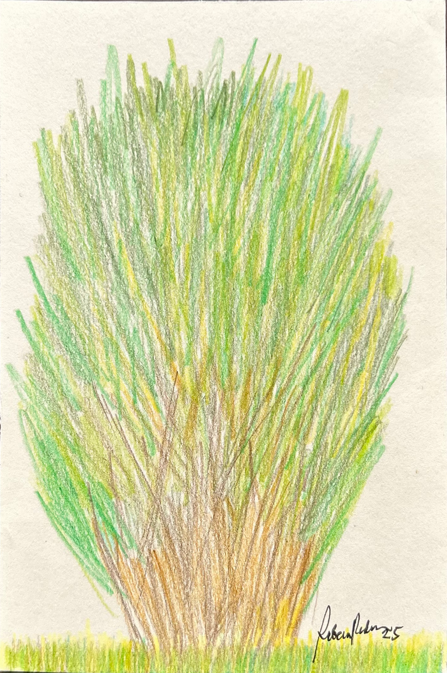 "Lush"
Rebecca Radam
Philippines