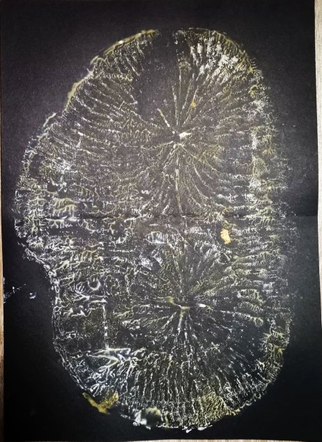 Tharesa (Teri) (@delightfuldyery)