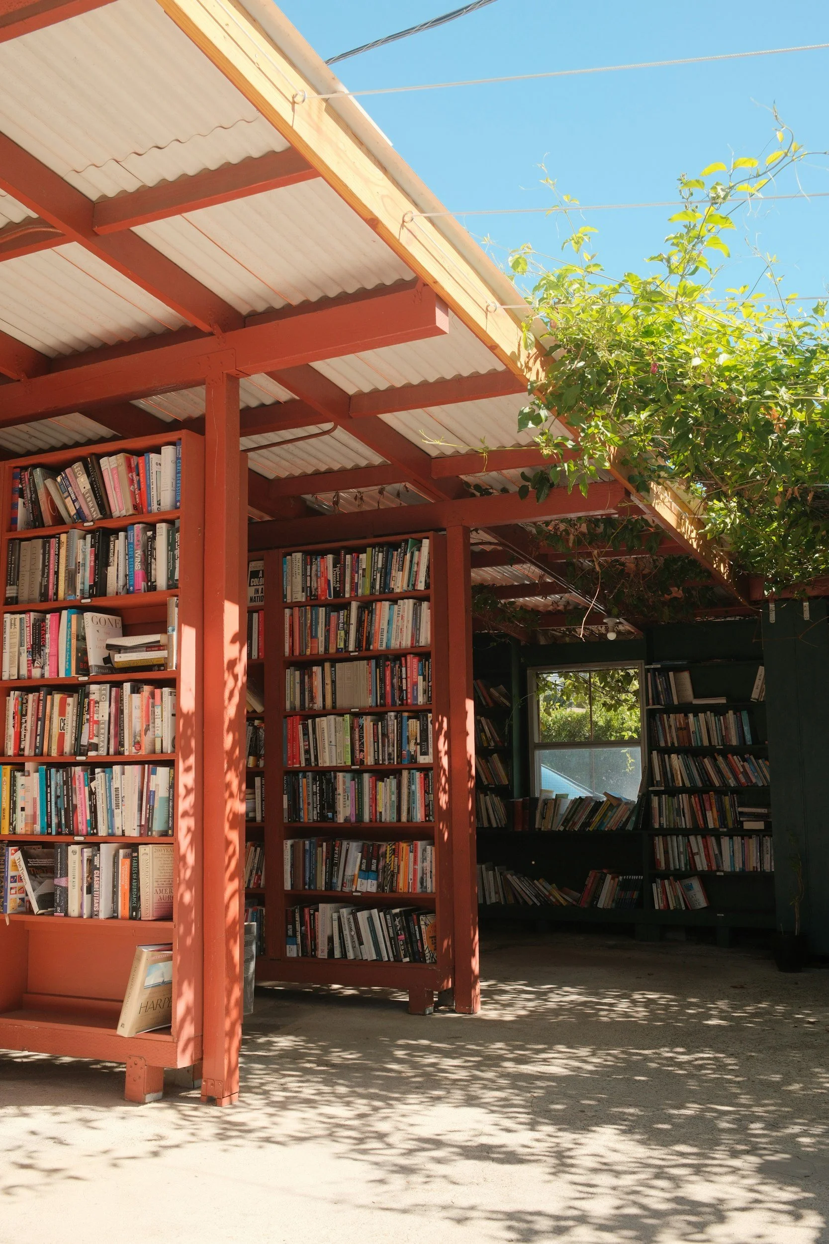 Outdoor bookstore with metal roofing, wooden shelves filled with books, and a leafy vine growing along the roof edge, under a clear blue sky.