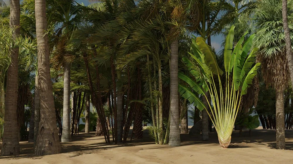 islandTes.jpg