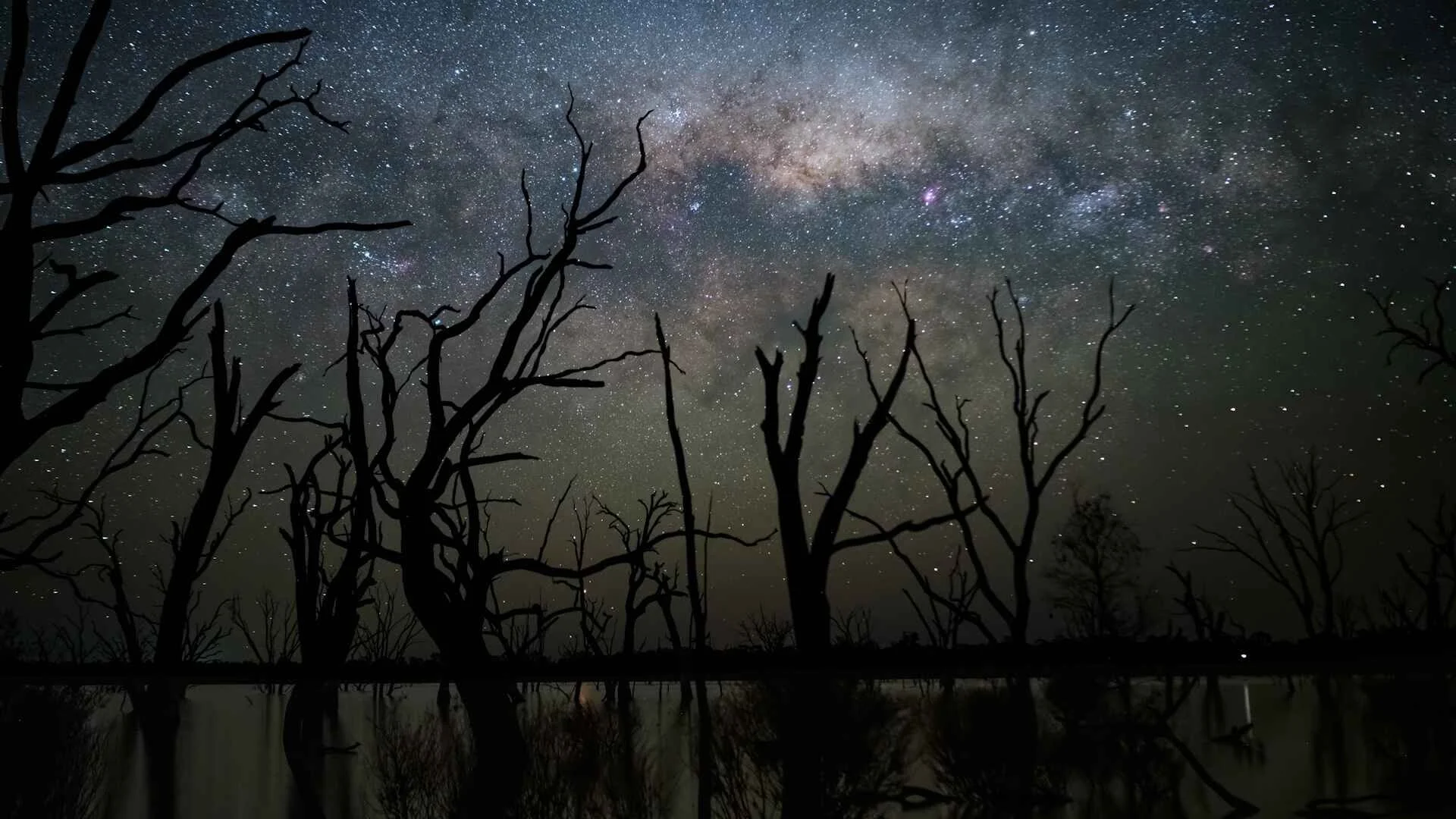 Night-photography-workshop.jpg