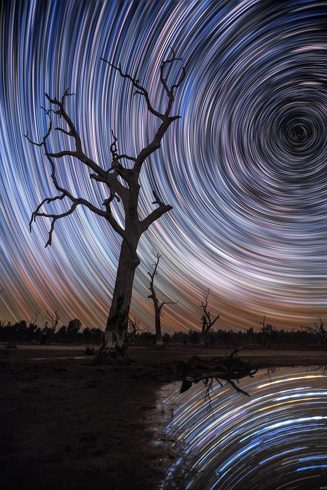 Long-exposure photograph of star trails in the night sky over a landscape with leafless trees and a reflecting body of water.