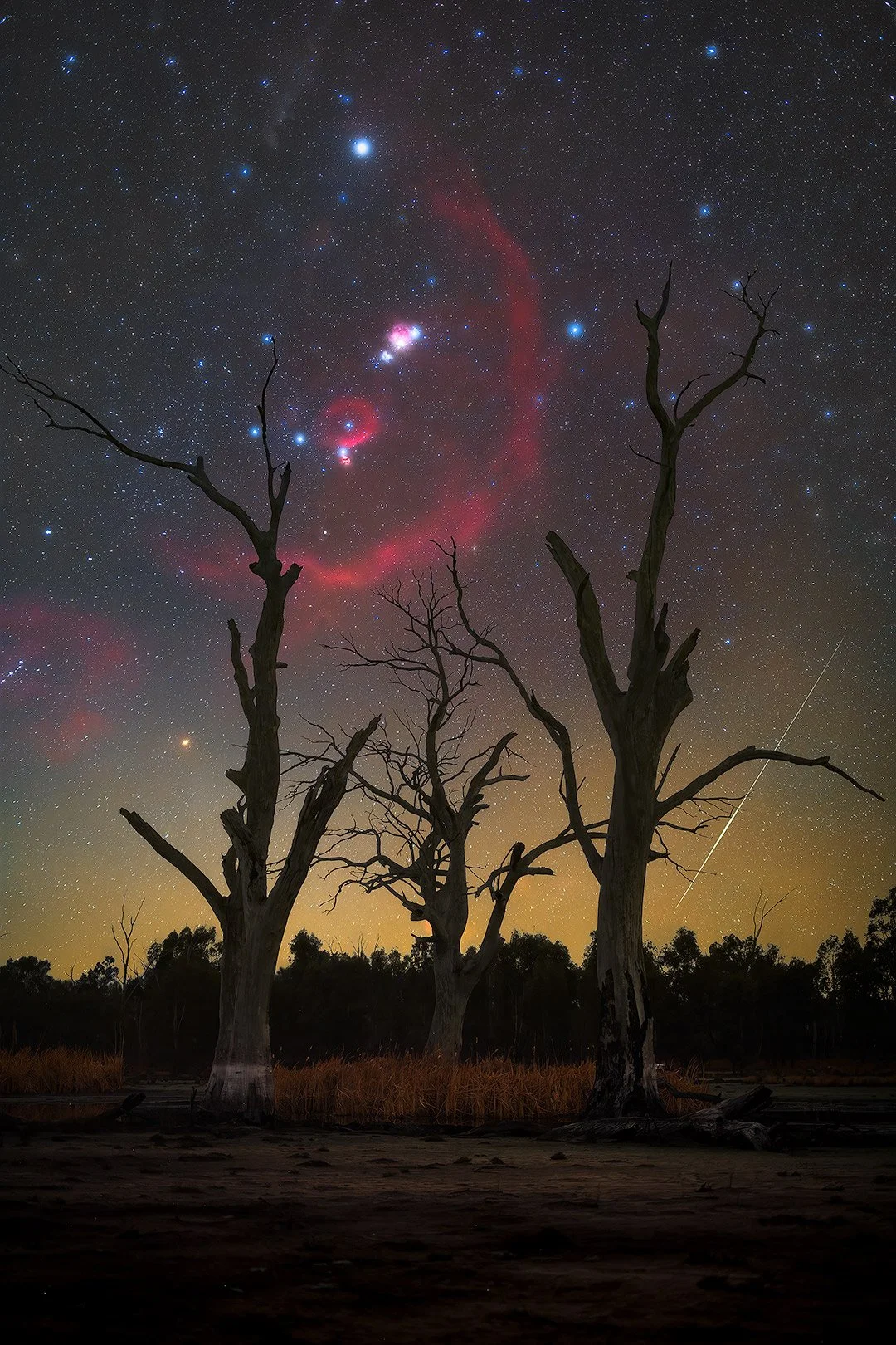 Night sky with stars and a faint red nebula above three dead trees with bare branches.