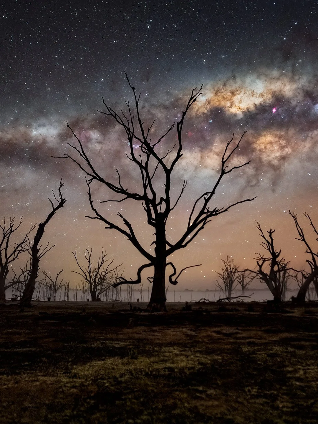 Lake Toolondo

One of my favorite places to stargaze.
Taken with my trusty old Nikon D850 and Nikkor 14-24mm f/2.8 G. 

#wow_australia #seeaustralia #australia_shotz #milkywaychasers #starrysky #astrophotography #nightphotography #nightsky #nightscap