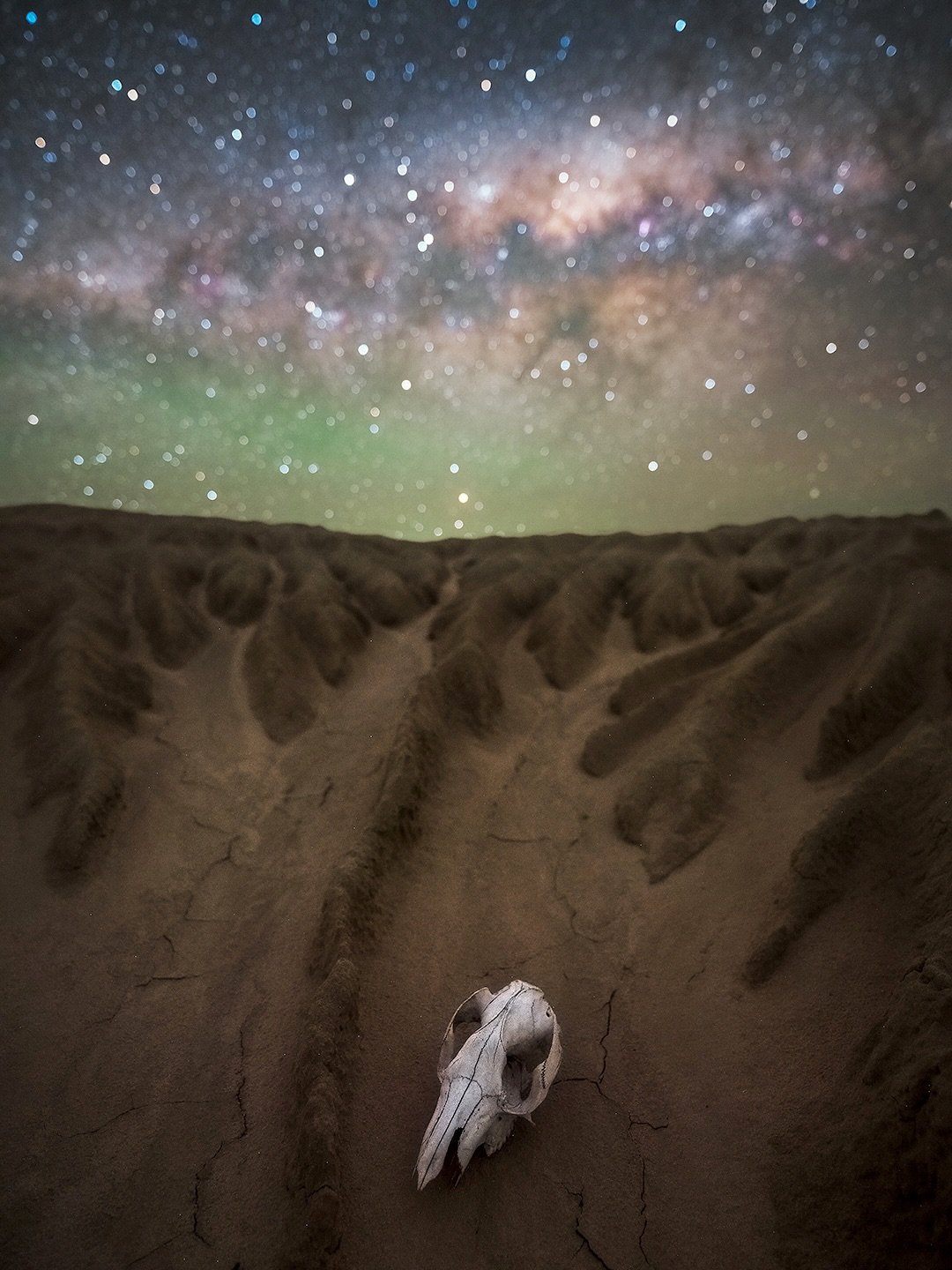 Aussie Outback

Everything goes back to the land. The beauty and reality of the Outback here in Australia. The first image is focused on the kangaroo scull at f/2.8, the second is a combination shot of focus stacking the foreground and then shooting 