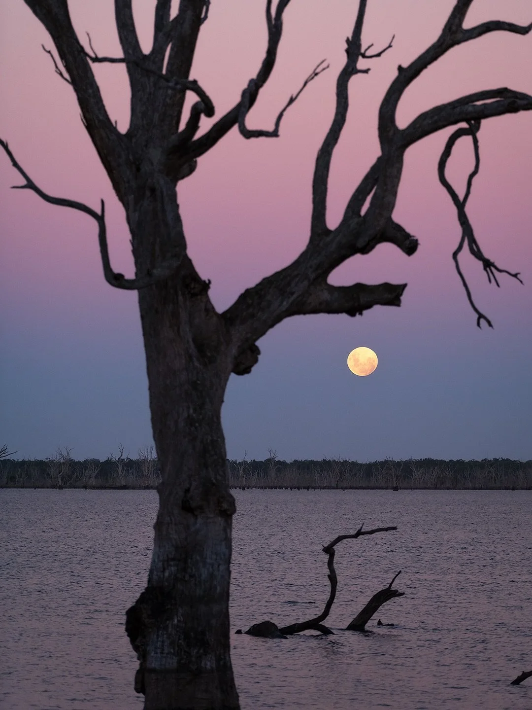 A lunar eclipse shows how quickly the night sky light and colors can change in just a few hours.

Here in Australia the moon rose just as the sun was setting, which created the warm pastel colors in the first image. Then came blue hour when the sky t