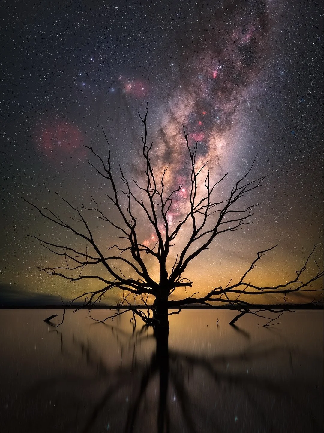 Lake Toolondo under starlight never disappoints! 

My love affair with this place has gone on for years and I will always keep going back. Every time I go back I find something different to photograph and the results always bring me back to that mome