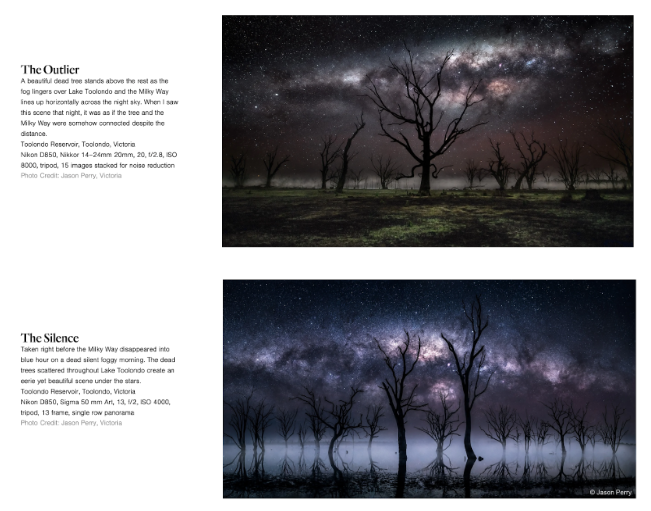Nighttime landscape featuring barren trees and a starry sky, capturing stunning cosmic views over the Toorongo Reservoir in Victoria.
