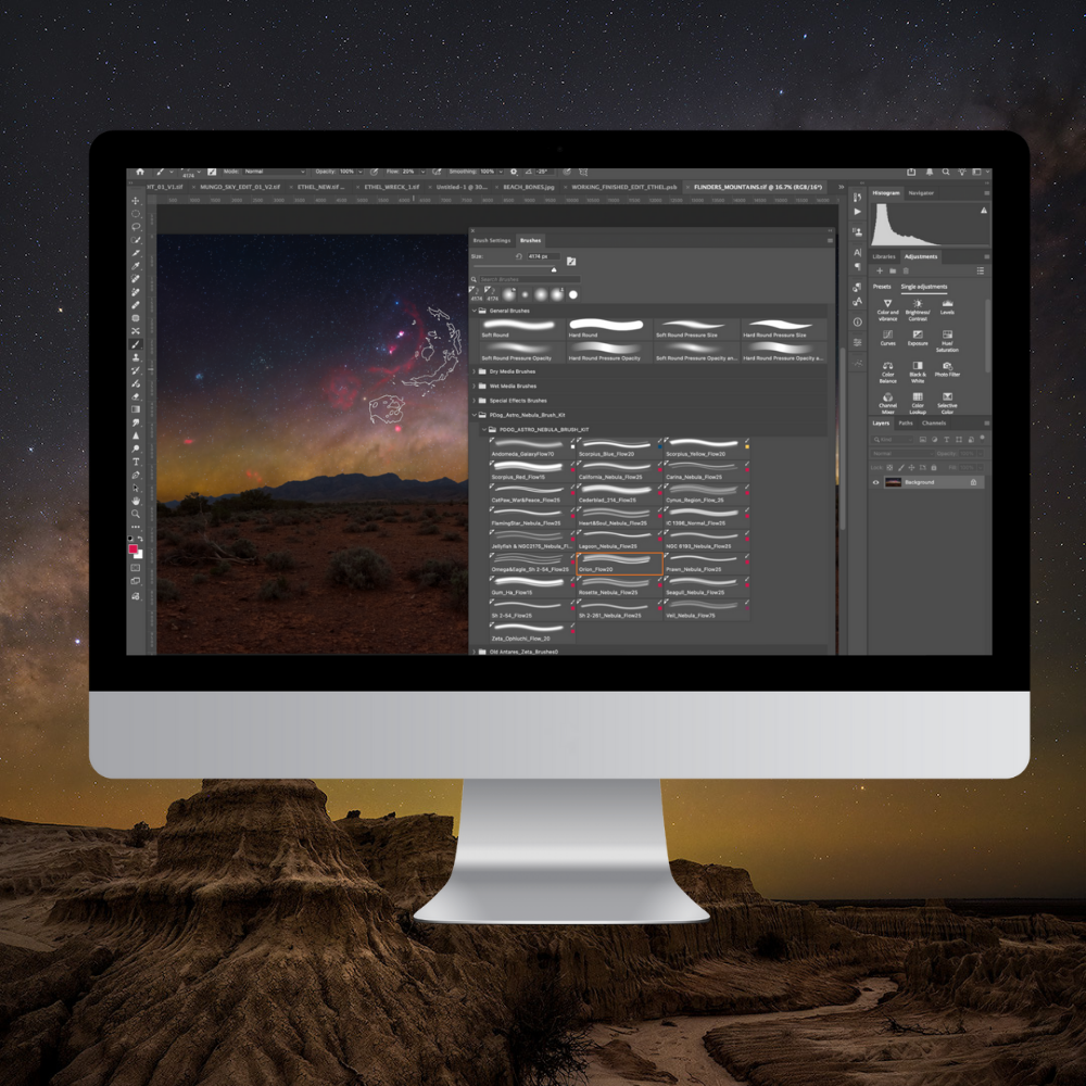 PDog Photography brush set