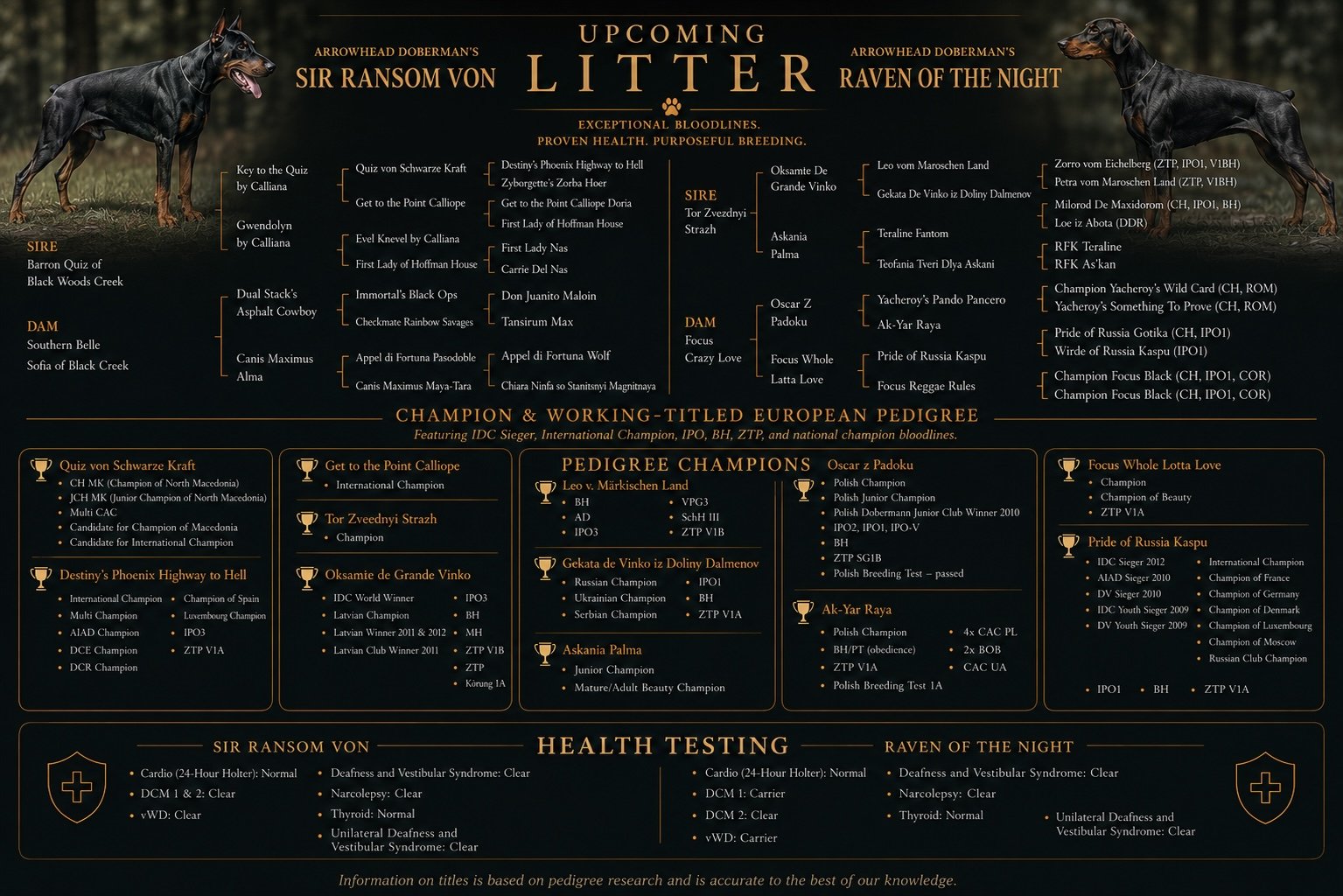 Pedigree chart for Doberman dogs featuring upcoming litters, champion titles, health testing, and award details.