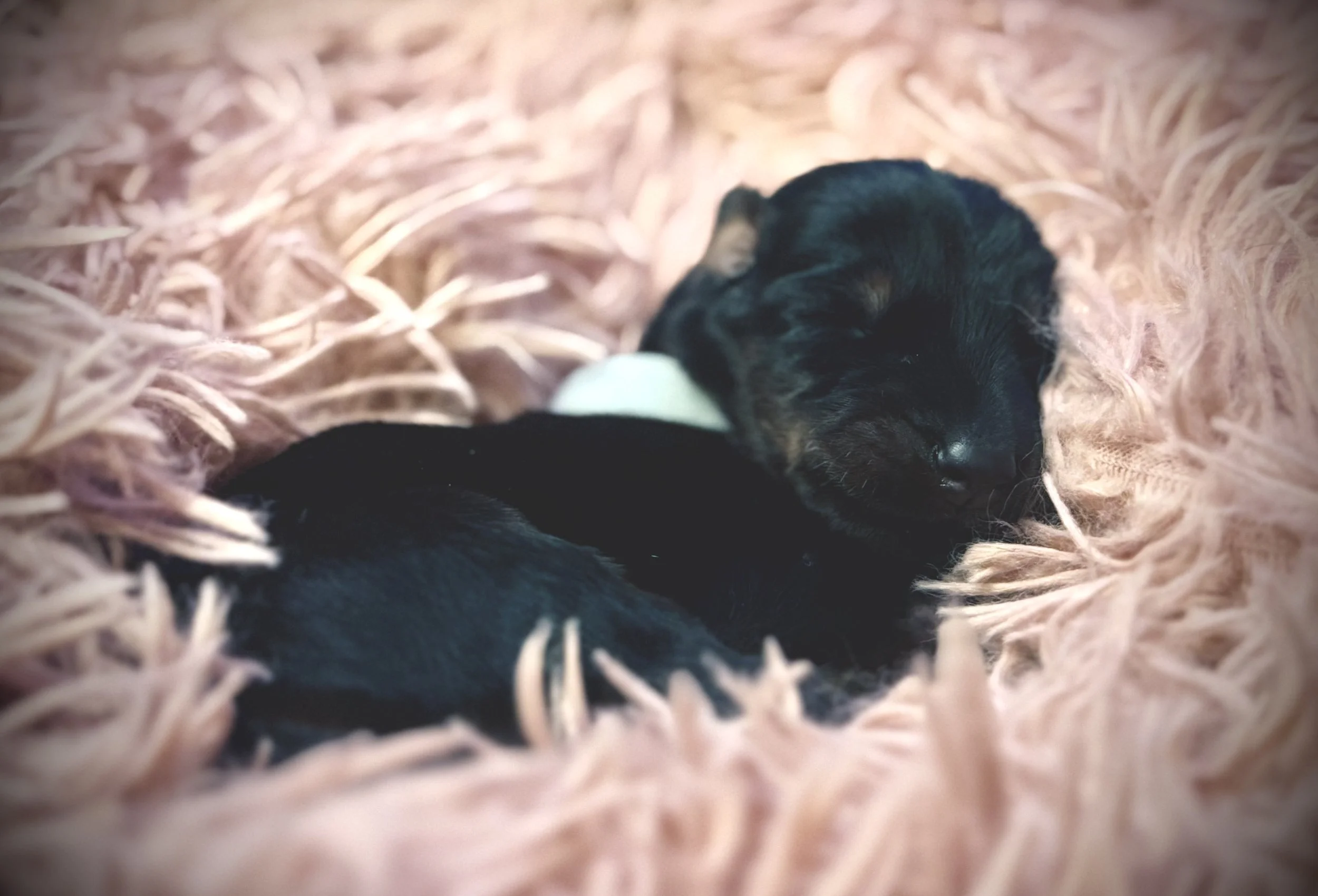 IMG_7097.jpg