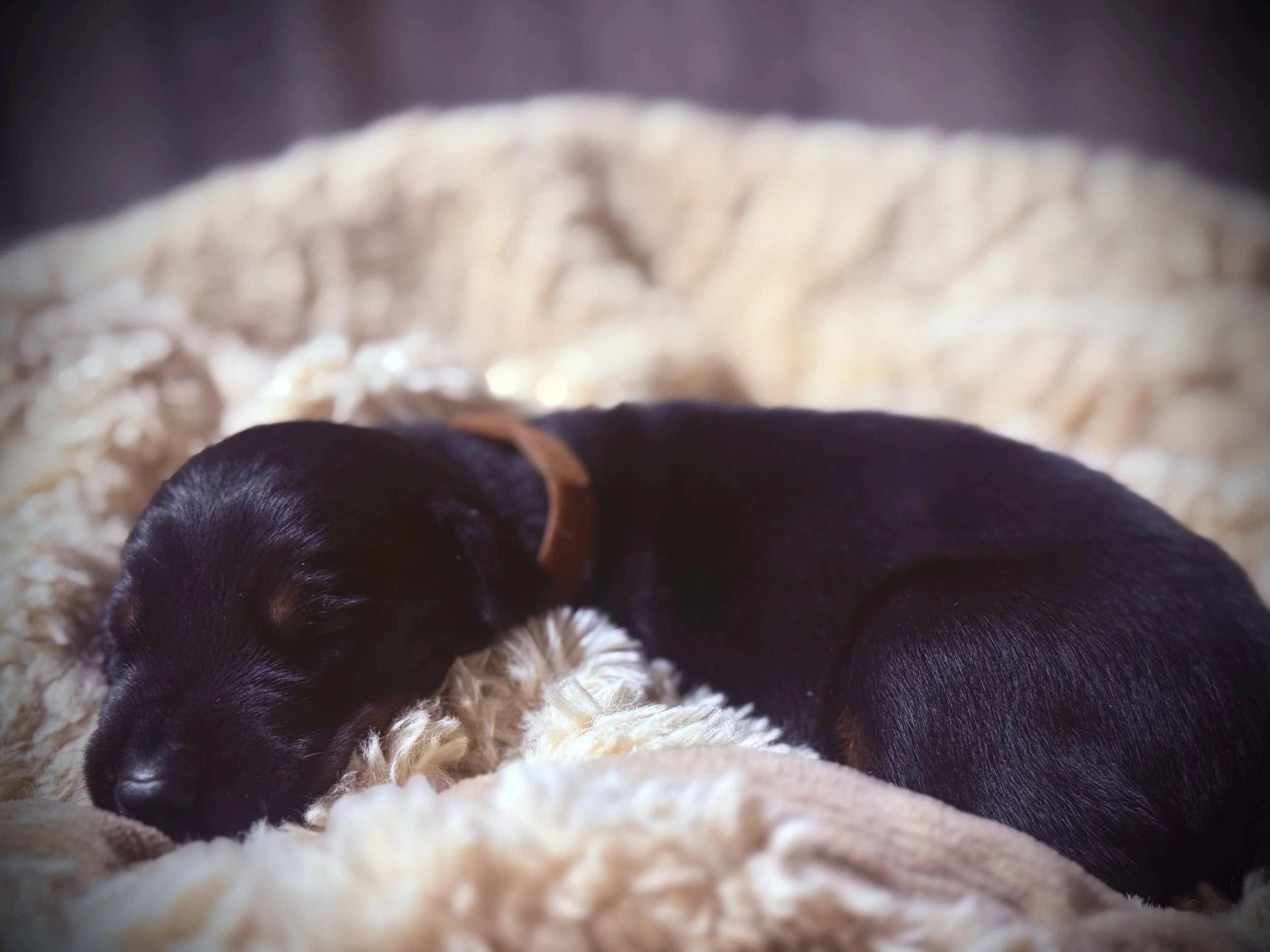 IMG_6060.jpg