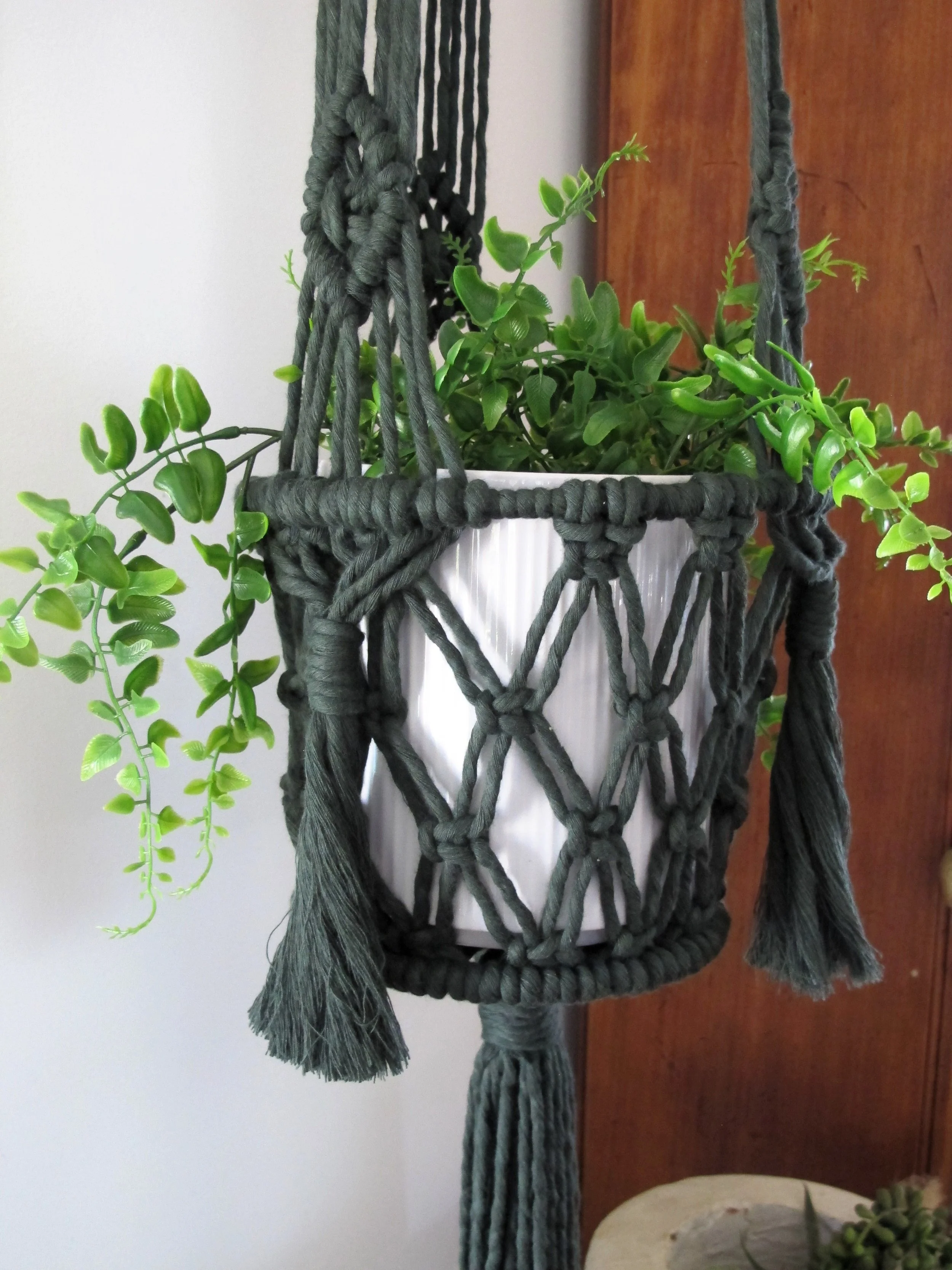 Close up of enchantress macrame plant hanger with green plant