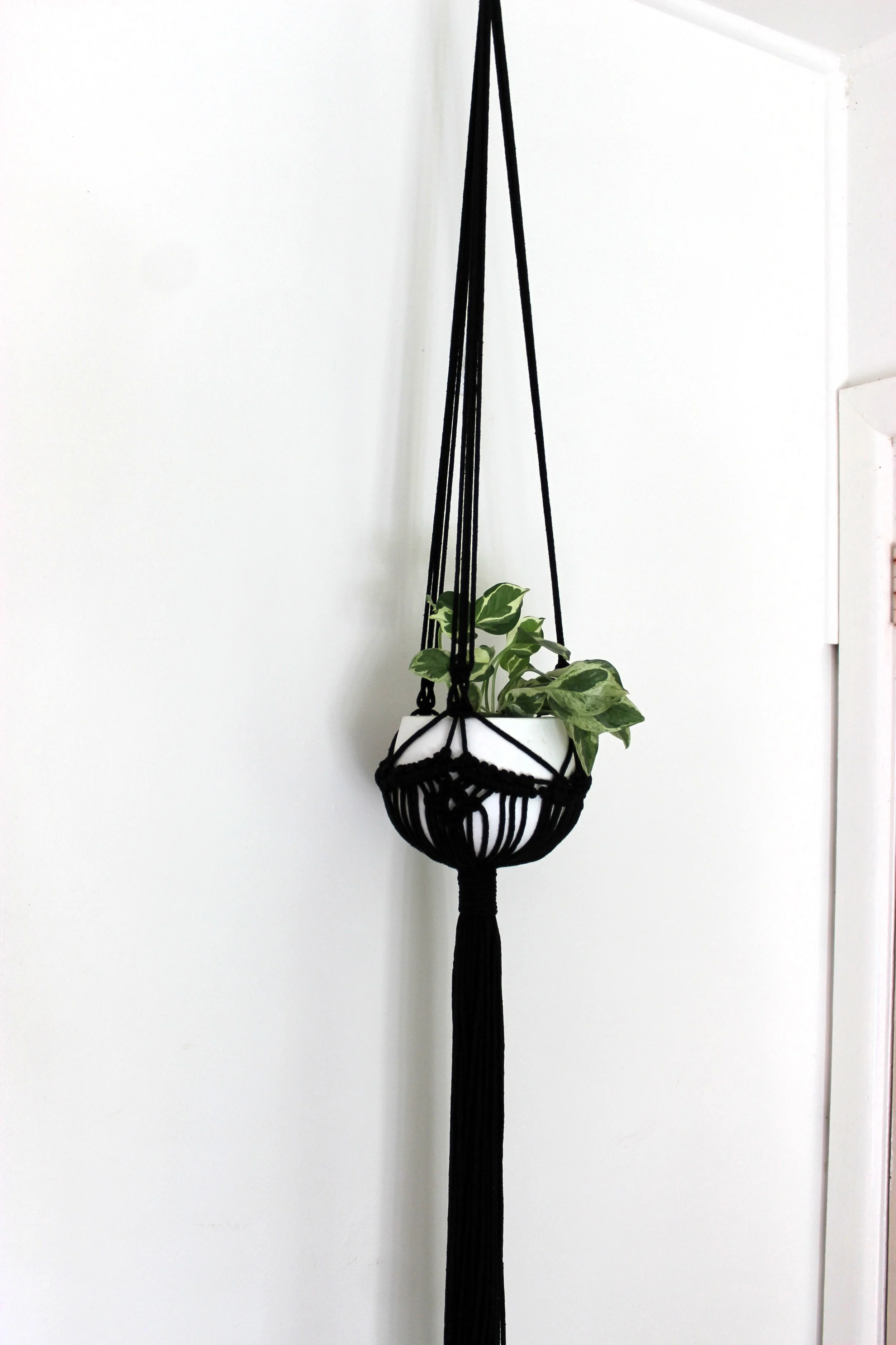 Black Macrame Plant hanger styled with variegated plant in pot