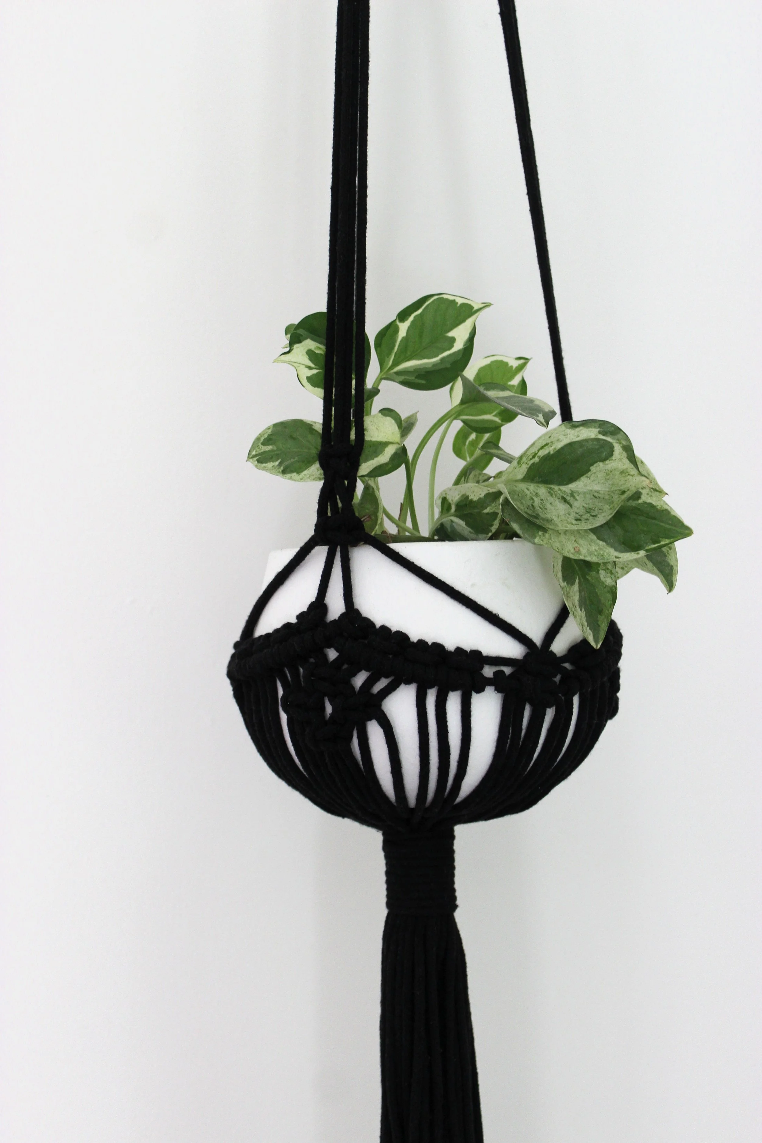 Black Macrame Plant Hanger close up image on white wall