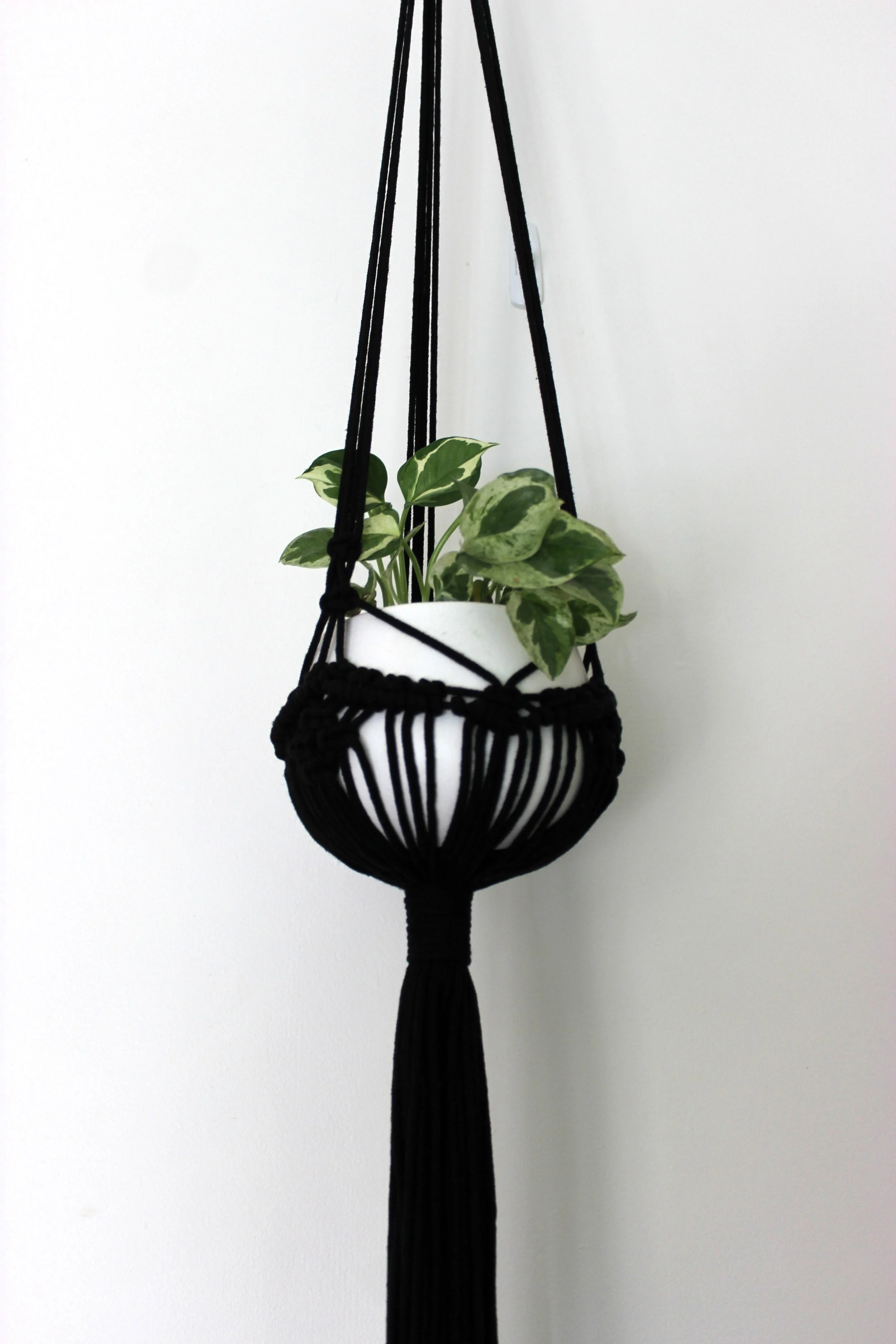 Mya Plant Hanger