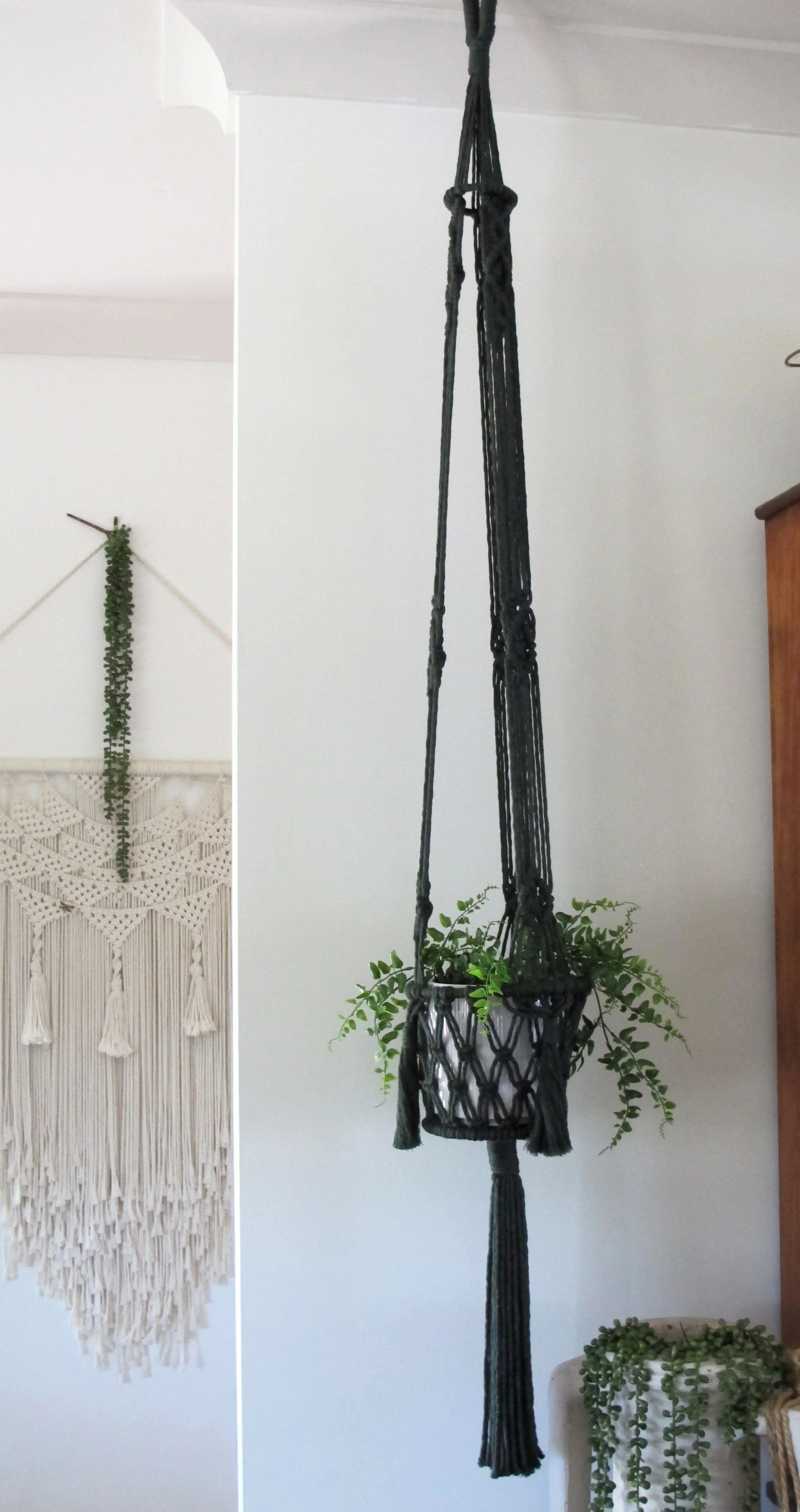 Enchantress plant hanger hanging in house styled with green plant