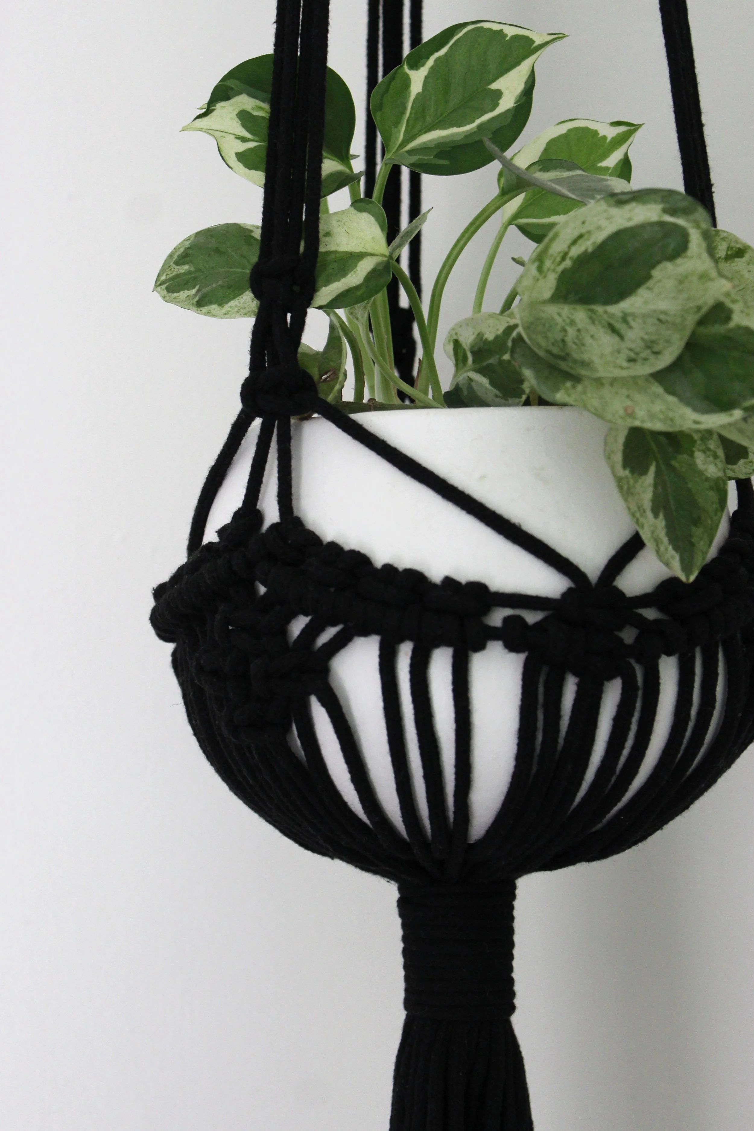 Close up image of Mya Plant Hanger in Black styled with plant