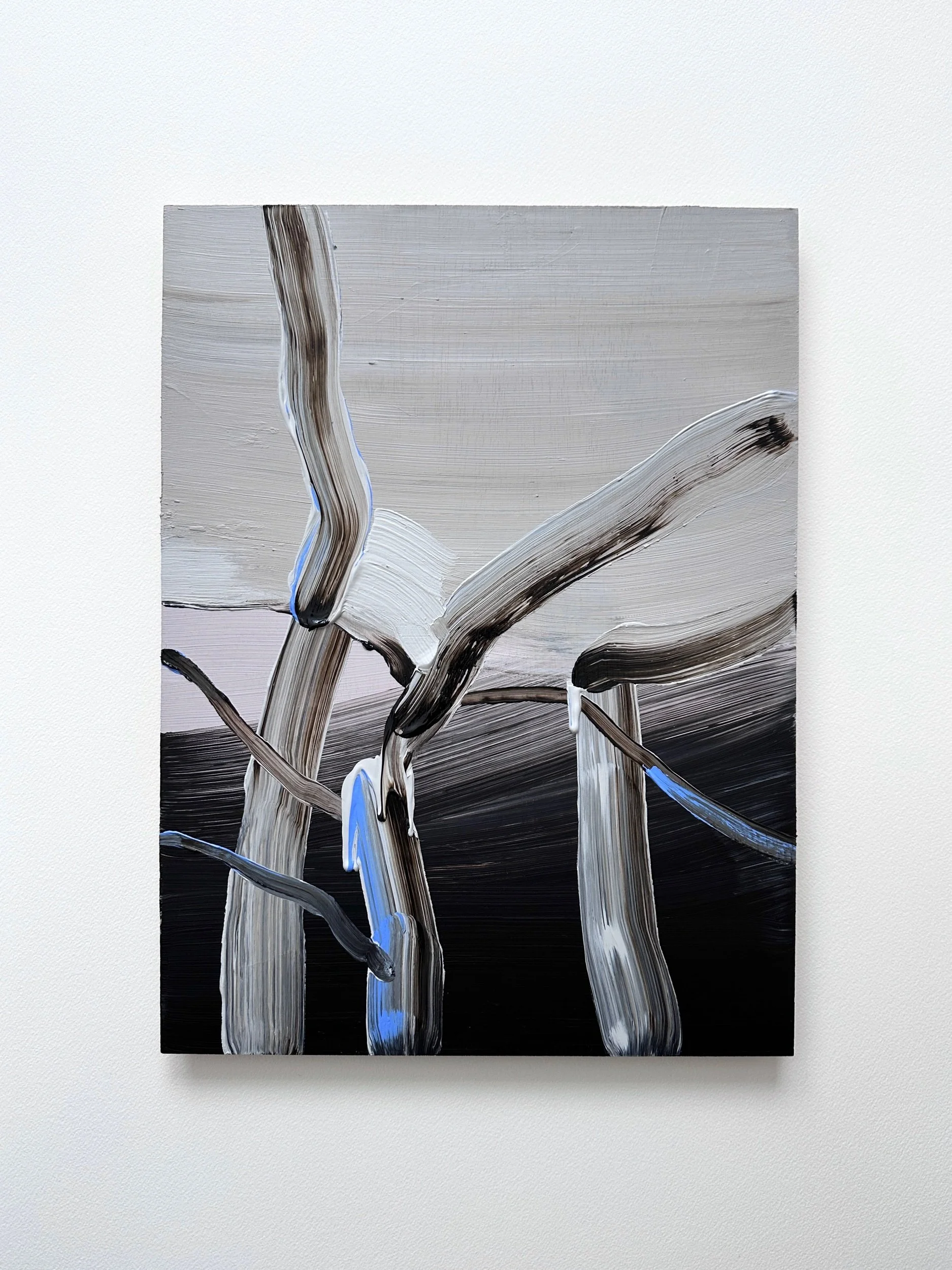     Twigs 12 , 2025  Acrylic on wooden panel  40 x 30 cm   