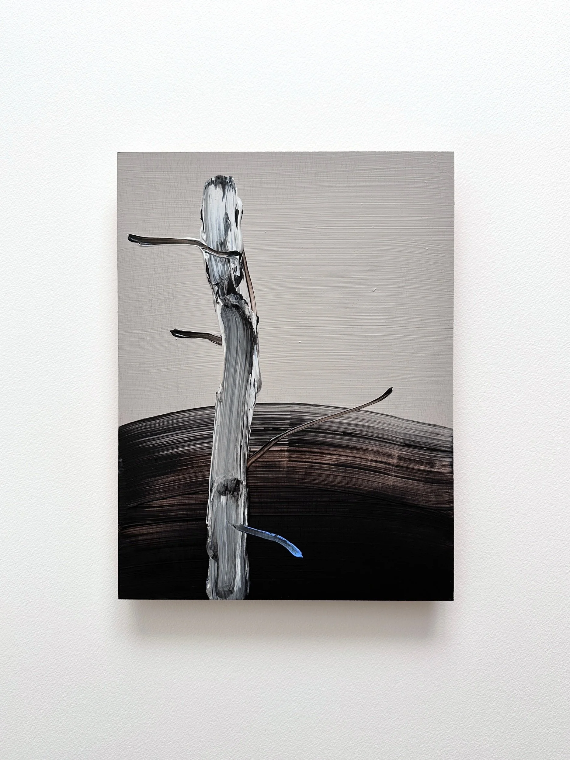     Twigs 14 , 2025  Acrylic on wooden panel  30 x 23 cm   