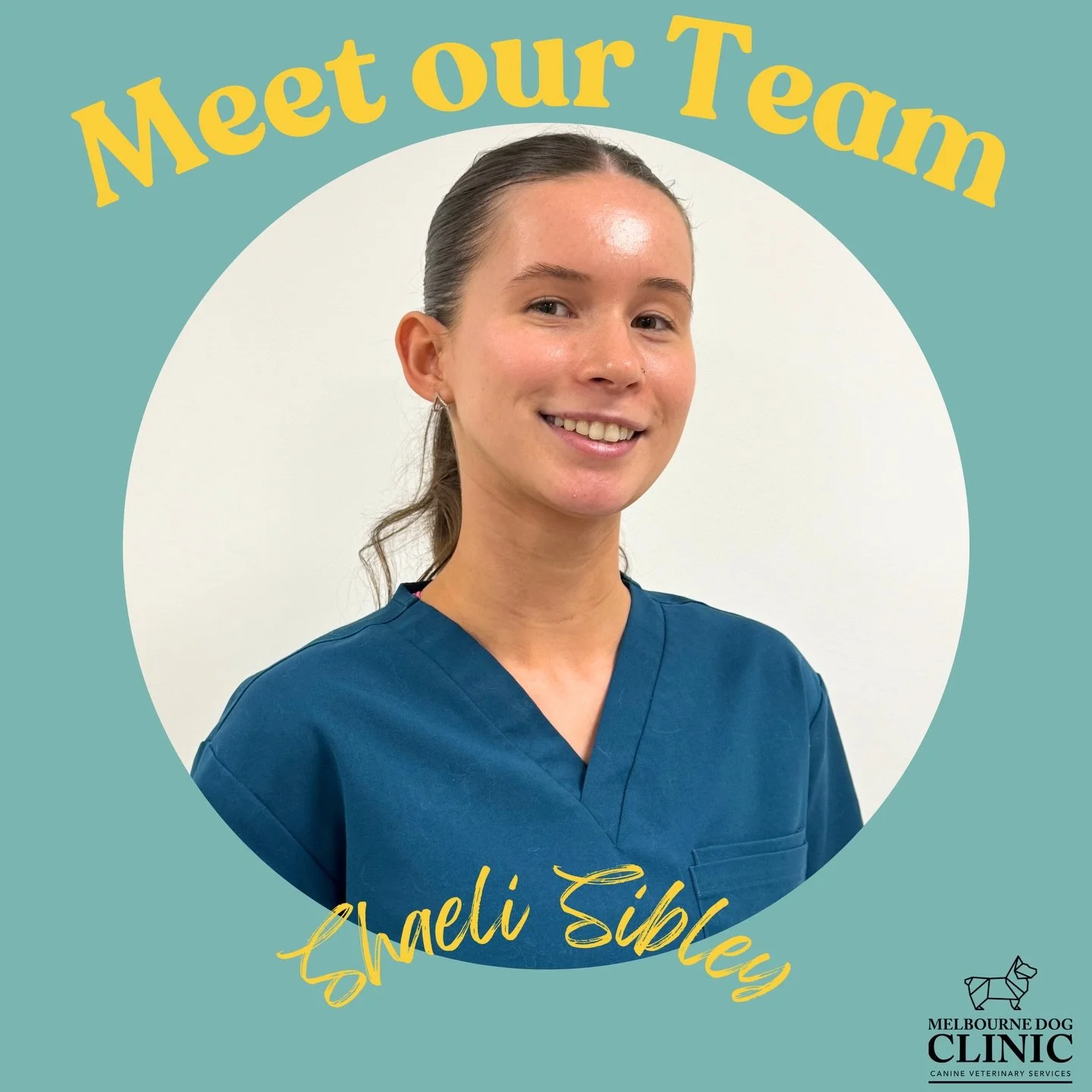 Hi, I&rsquo;m Shaeli

I&rsquo;ve completed my Cert III in Animal Care Services and I&rsquo;m currently studying my Cert IV in Veterinary Nursing at Box Hill Institute. I have a strong passion for canine health and giving every patient (and their huma