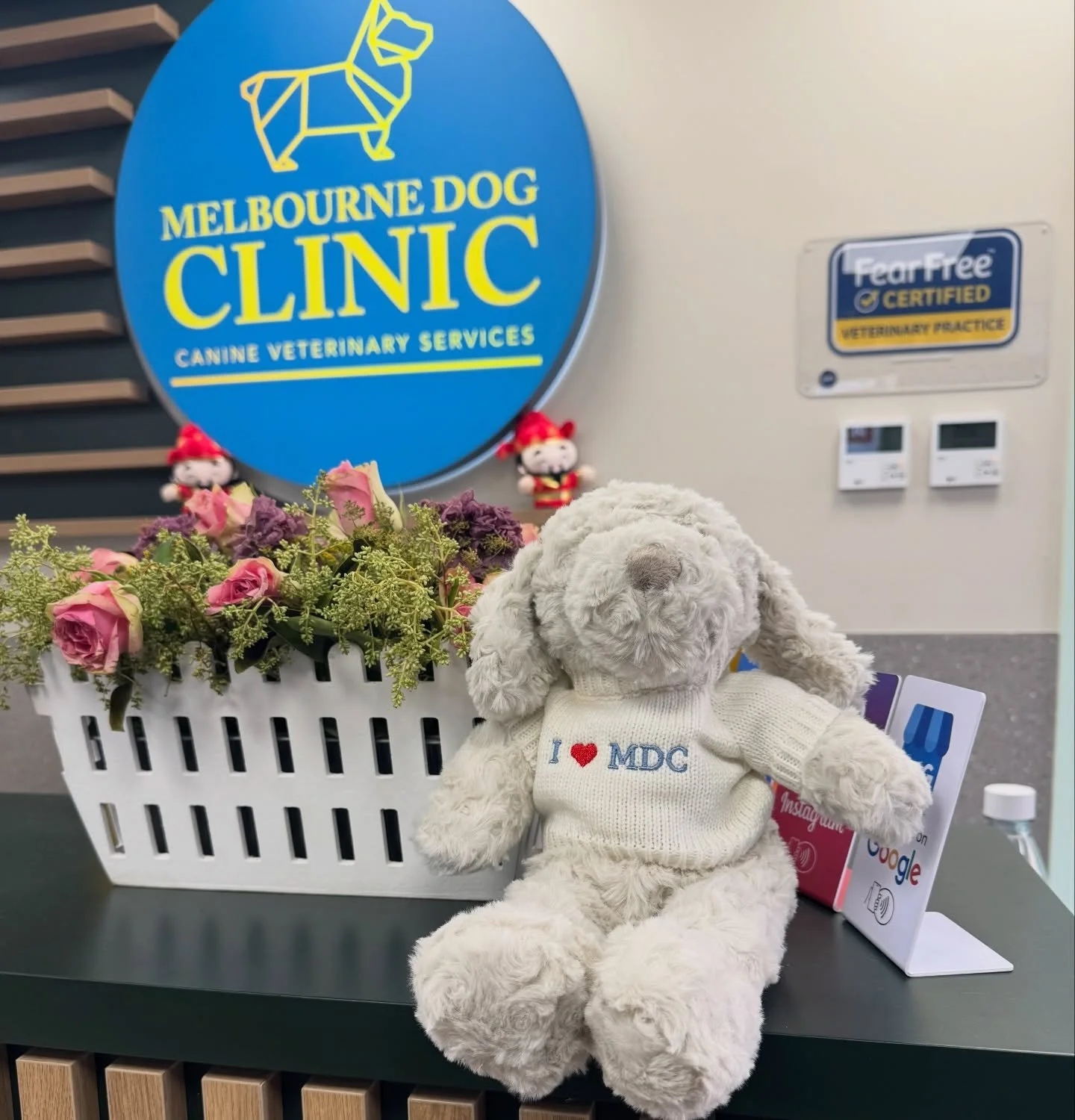 Who loves MDC? This dog certainly does. 

This cute Teddy-Dog is a little present from Edamame Sparkles and his family for taking care of him last week. 🥰

Thanks for the gift! We love it so much! 😍

#hipkids