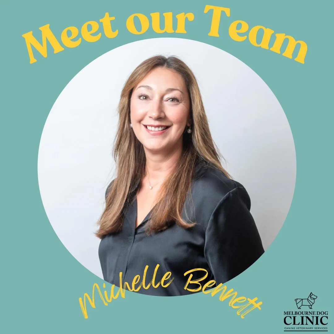 Lifelong dog lover lucky enough to work surrounded by them every day 🐾
 Mum of two&hellip; and one very important mini schnauzer, Rainbow 💛🌈

You&rsquo;ll find me at reception, helping make every visit feel calm, welcoming and low-stress from the 