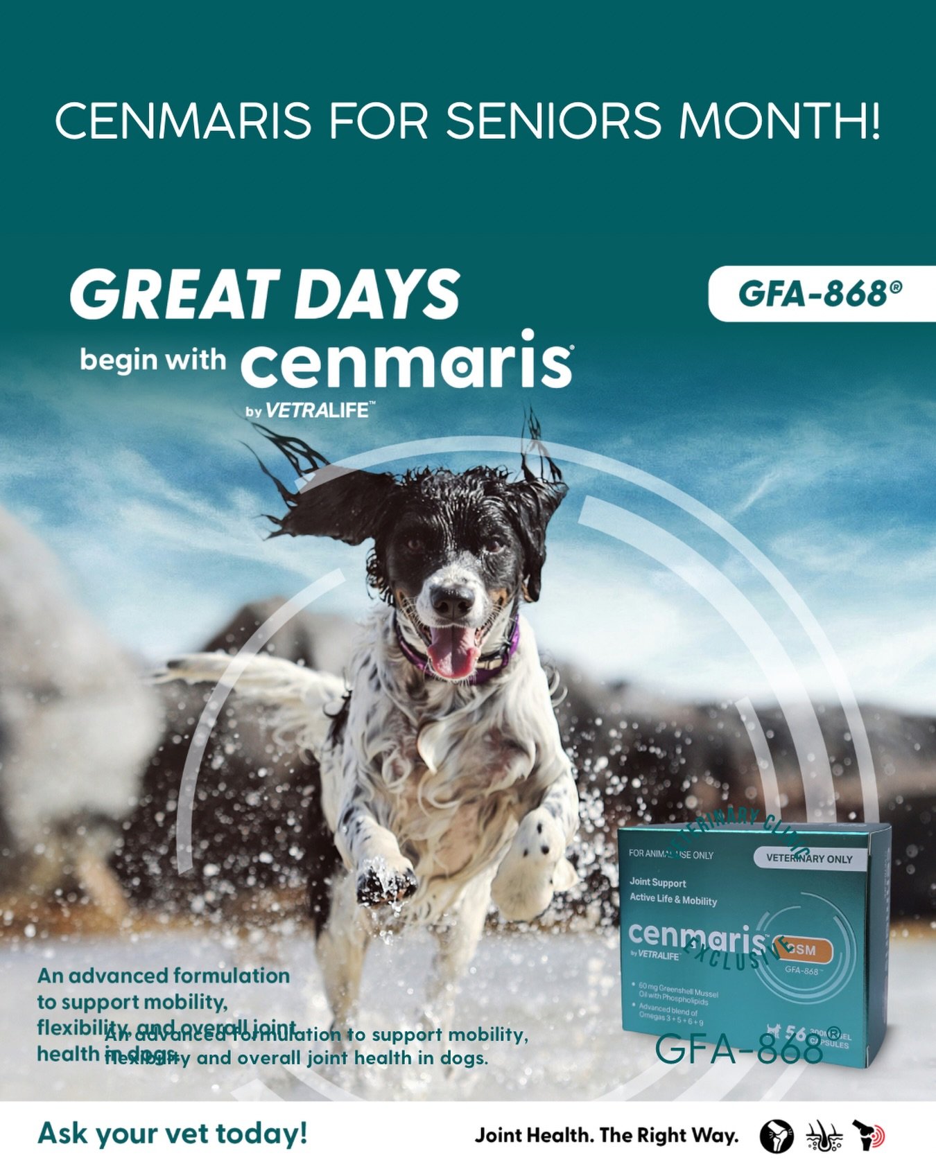 Seniors Month just got even better 🐾

When you book a Seniors Bundle, you&rsquo;ll now receive Cenmaris&reg; GSM to support your dog&rsquo;s joint health and mobility at home 💚

Our Seniors Bundle looks at the full picture as dogs age, from interna