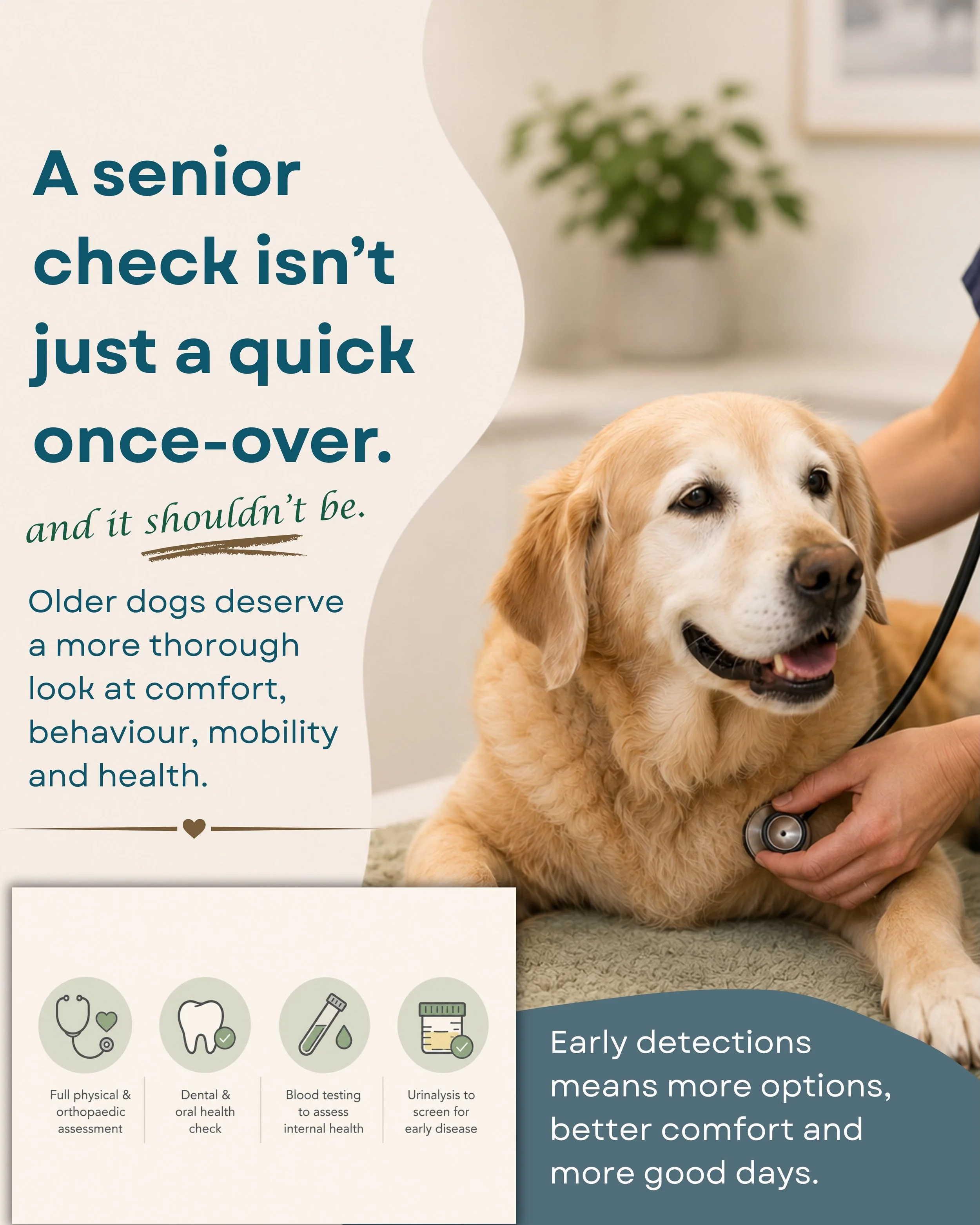 A senior check isn&rsquo;t just a quick once-over&hellip;and it shouldn&rsquo;t be.

As dogs get older, changes can be subtle.

Slowing down, sleeping more, stiffness, or small behaviour changes are often put down to &ldquo;just ageing&rdquo; but the
