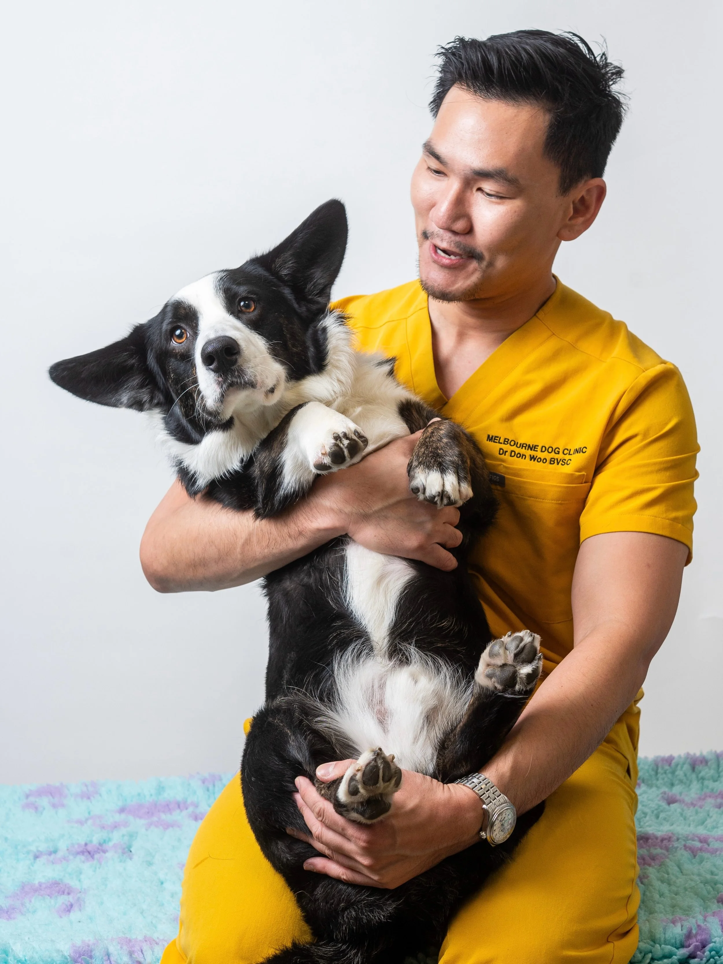 Paul turns TWO! 

This magnificent floofball owns Dr Don. His favourite past time is demanding treats with his famous &ldquo;awoowoo&rdquo; bark, and his secret talent is using his bat-like ears that can detect a chip packet being opened a mile away 