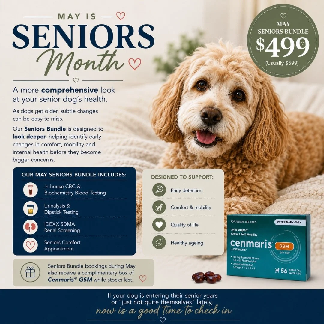 A more comprehensive look at your senior dog&rsquo;s health.

As dogs get older, subtle changes can be easy to miss.

That&rsquo;s why our Seniors Bundle is designed to look deeper; helping identify early changes in comfort, mobility and internal hea
