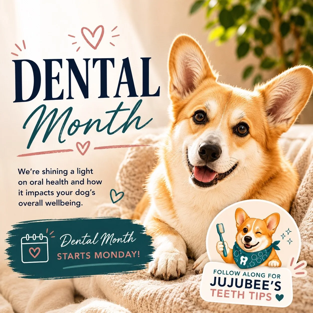 Dental Month starts Monday at Melbourne Dog Clinic 💙

This June and July, we&rsquo;ll be focusing on an important part of dogs&rsquo; health that is often easy to overlook:- dental disease.

Many dogs live with dental discomfort quietly. Changes in 
