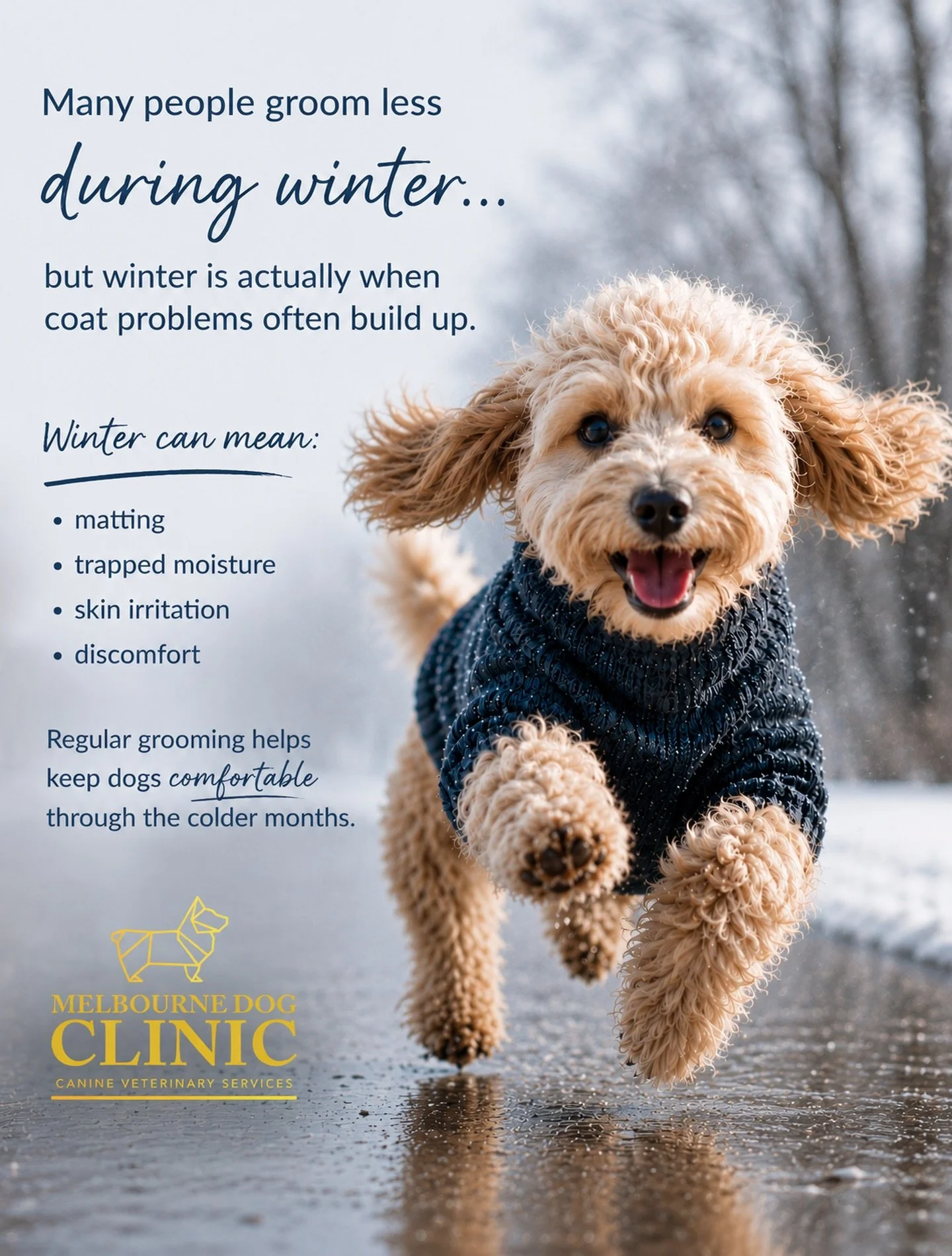 Winter coats need care too.

Many people groom less during winter but winter is actually when coat problems often build up.

Regular grooming can help prevent matting, trapped moisture and skin irritation, while keeping dogs comfortable through the c