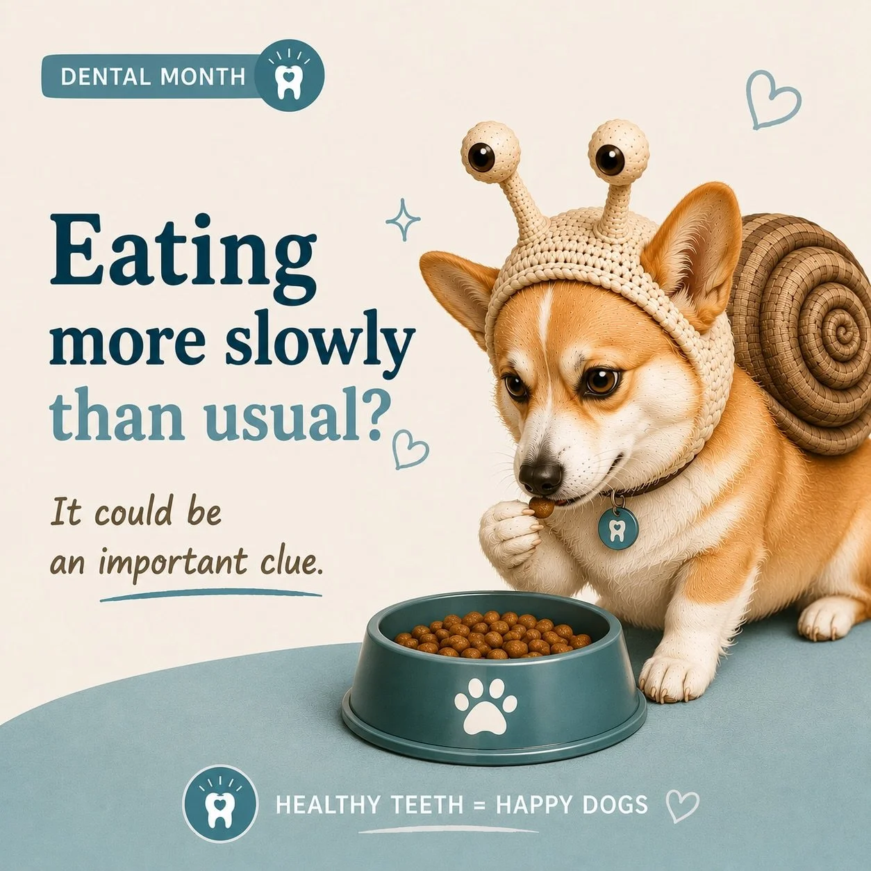 🐌 Earlier today, Jujubee shared Teeth Tip #3.

Slower chewing can sometimes be a sign that something isn&rsquo;t quite right.

Many dogs with dental disease continue eating, playing and acting normally. That&rsquo;s why small changes can be easy to 