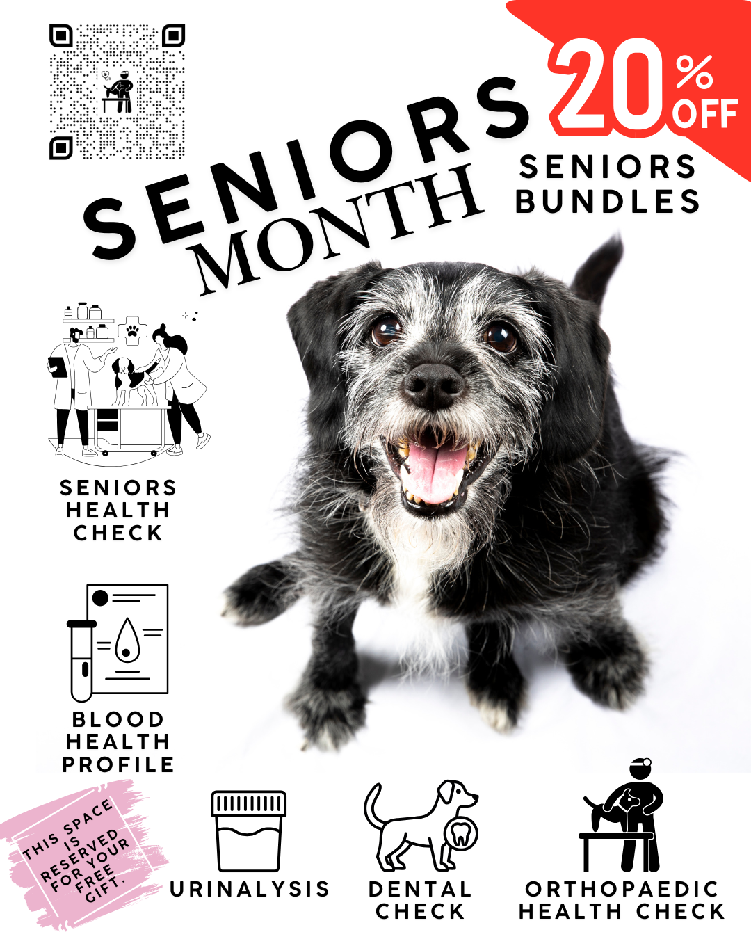 INSTA SENIORS MONTH.png