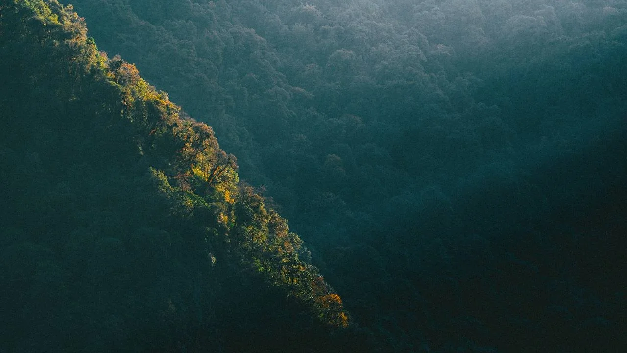 11D10N feels like home 