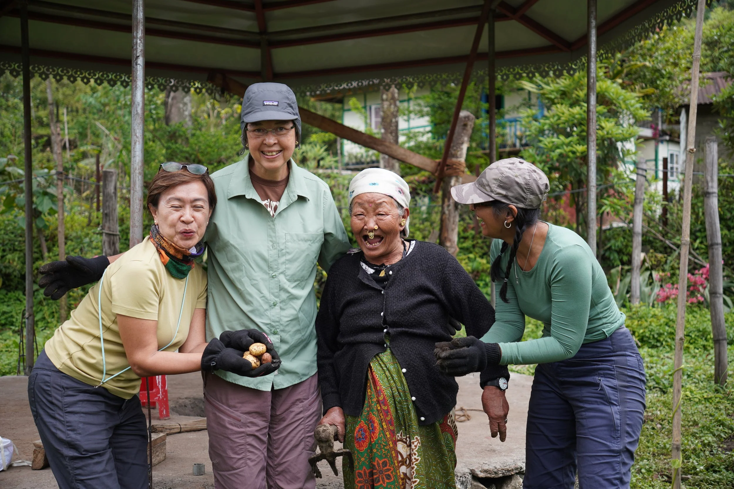 yuksom potato harvesting.jpg