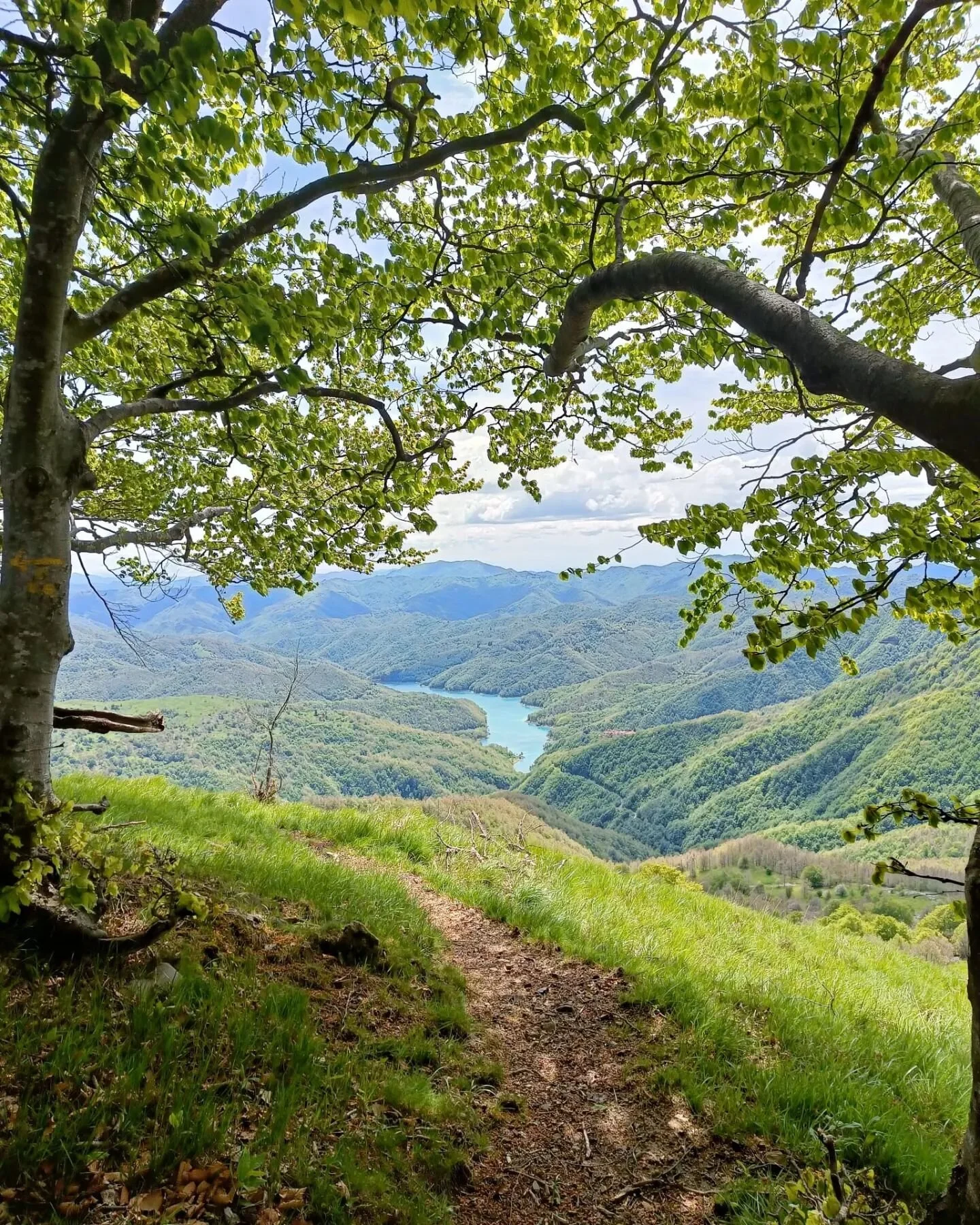 🌿‼️SIAMO APERTI TUTTI I GIORNI‼️🌿

⛰️🍻Da domani per tutto il mese di Agosto ci trovate per pranzi, cene, merende, birrette, pernotti e colazioni!

✨️Prestissimo aggiornamenti su tutti gli eventi che ospiteremo nei prossimi mesi!

📍Per info e pren