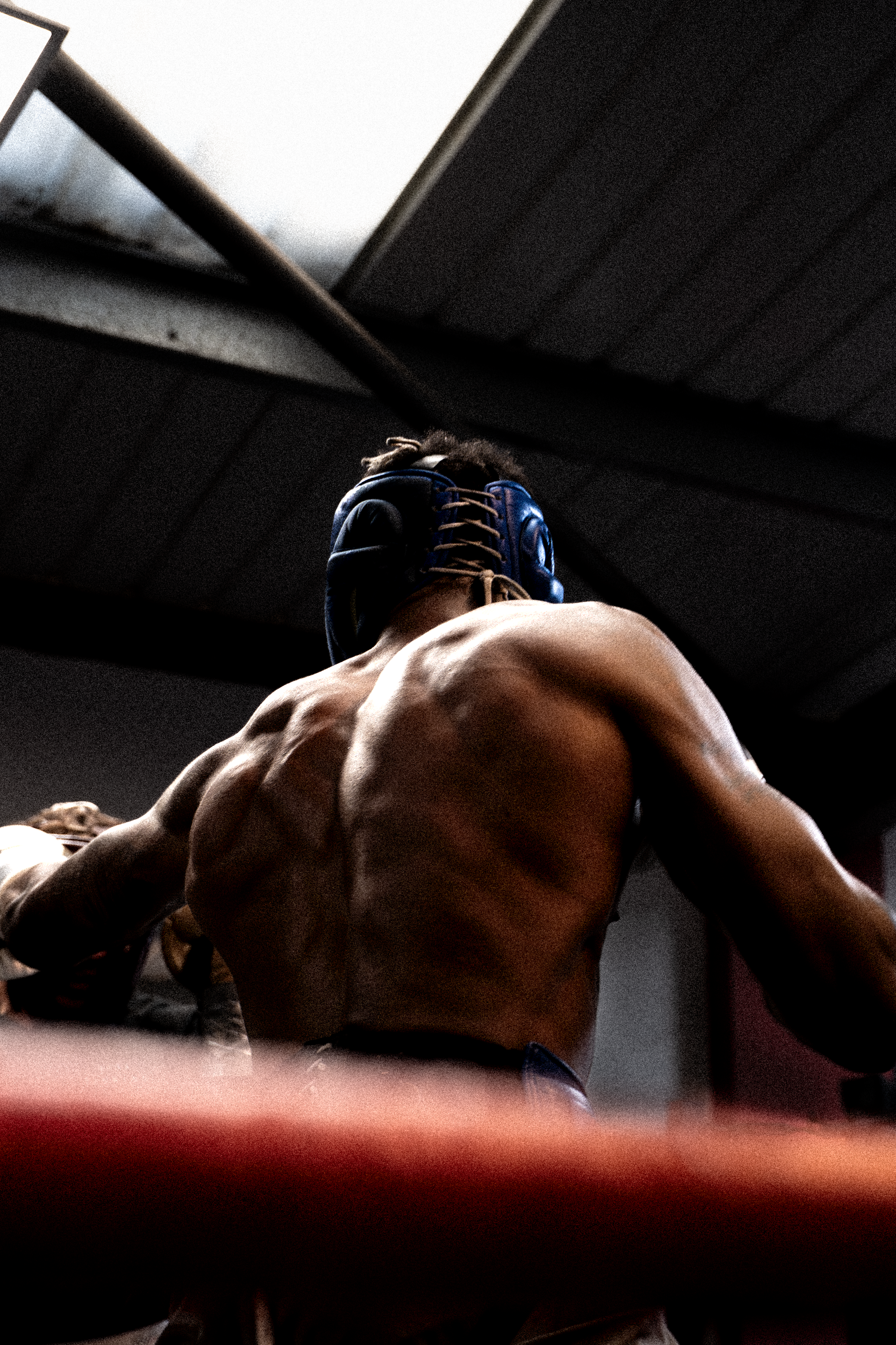 Levi Boxing BACK.png
